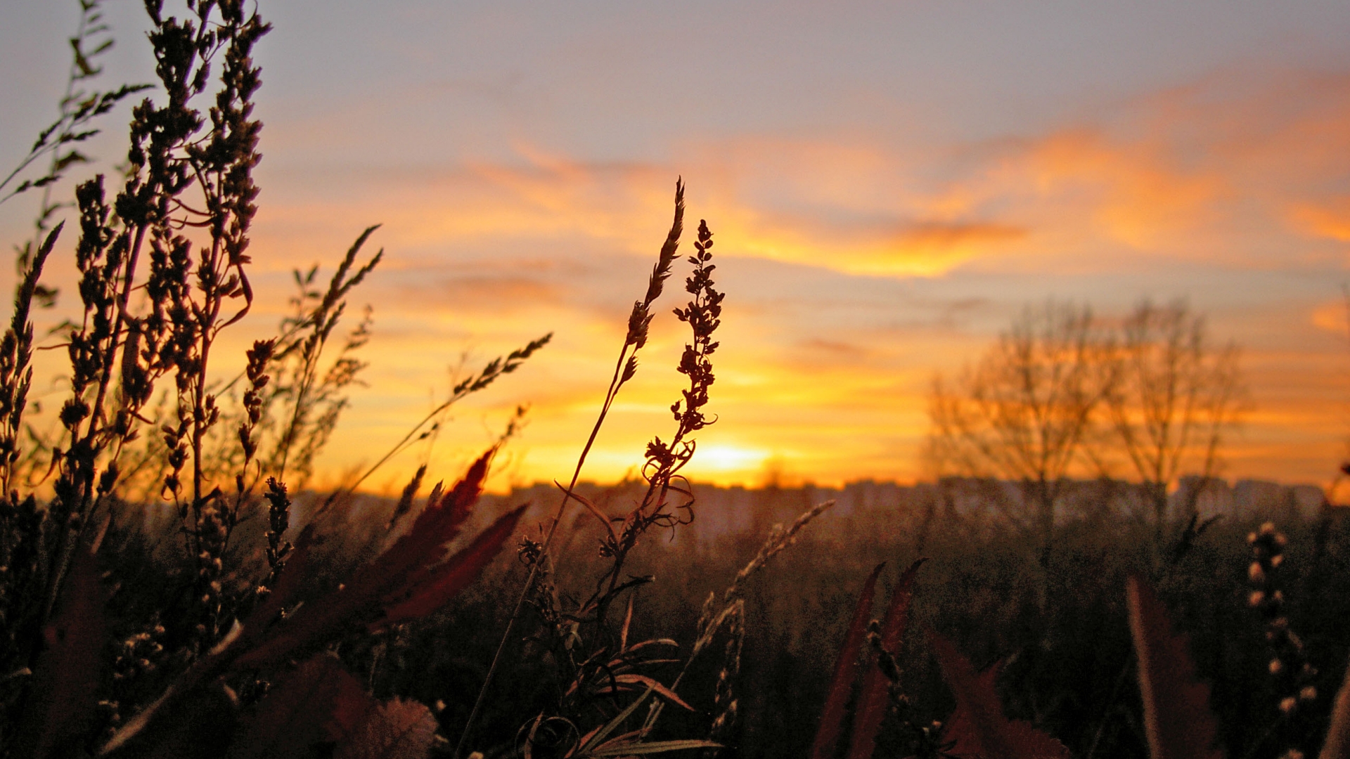 Free download wallpaper Sunset, Earth on your PC desktop