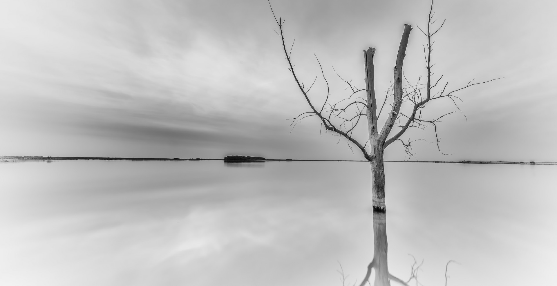 Free download wallpaper Nature, Trees, Horizon, Lake, Tree, Earth, Black & White, Lonely Tree on your PC desktop