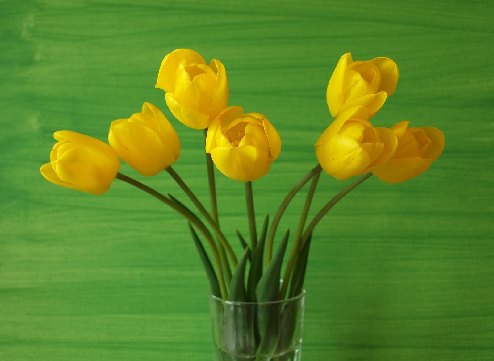 Free download wallpaper Flowers, Tulips, Vase, Background on your PC desktop