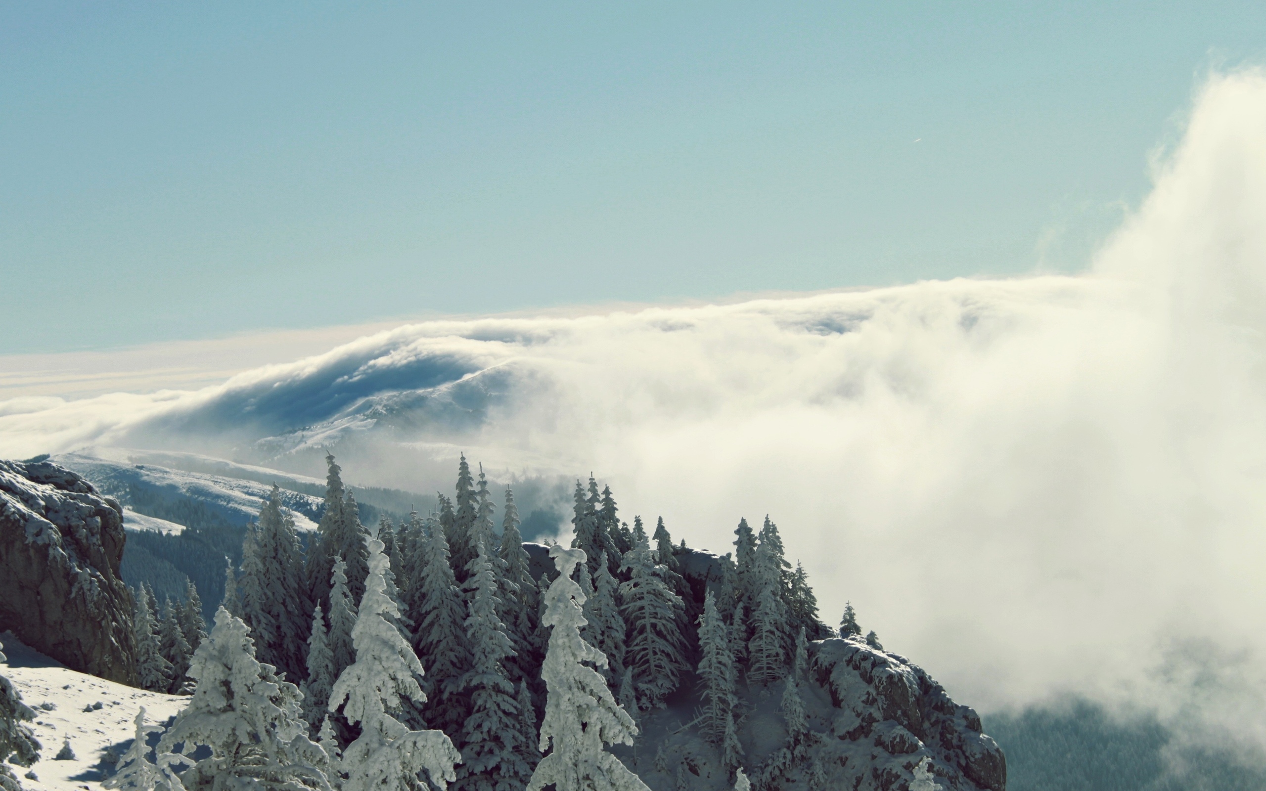 Handy-Wallpaper Landschaft, Winter, Natur, Schnee, Horizont, Nebel, Erde/natur kostenlos herunterladen.