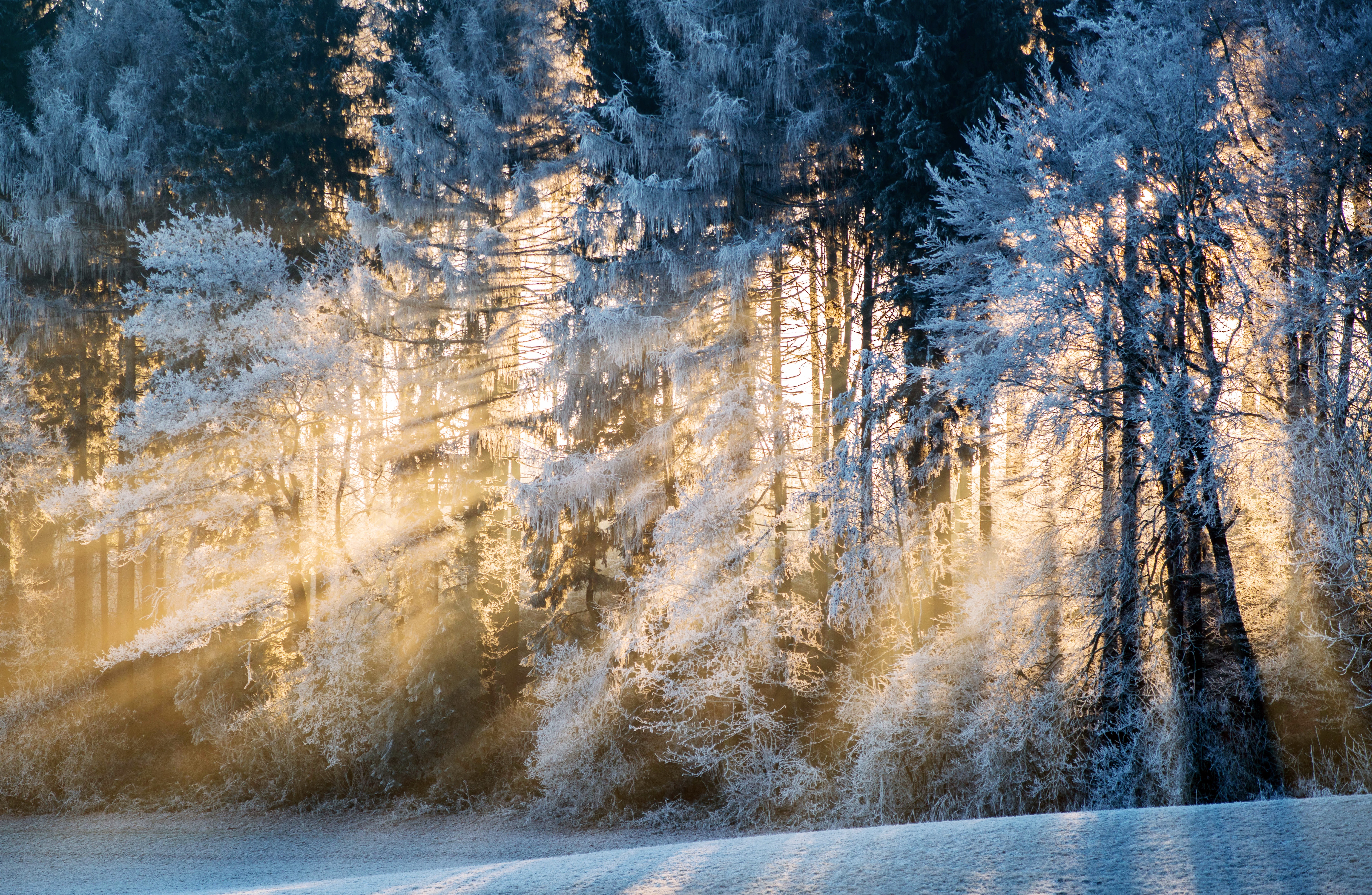 Download mobile wallpaper Winter, Nature, Snow, Earth, Sunbeam for free.