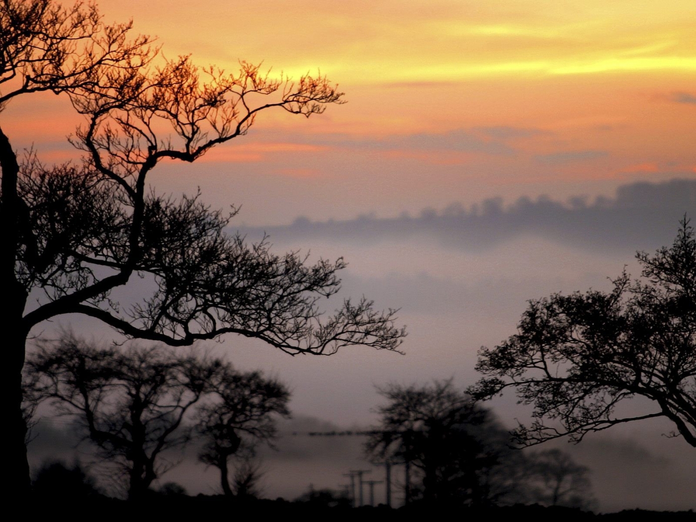 Free download wallpaper Trees, Landscape on your PC desktop