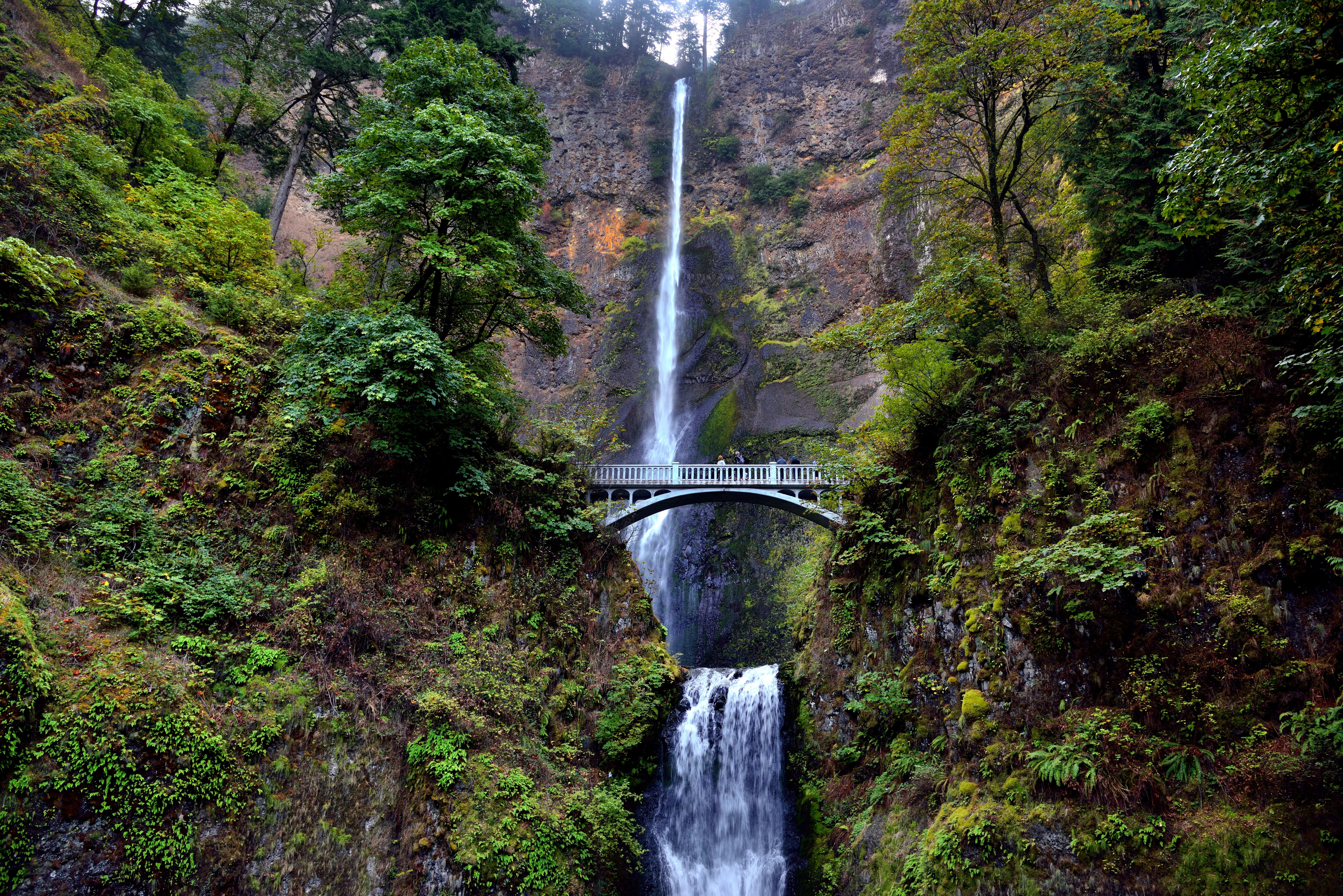 Laden Sie das Wasserfälle, Wasserfall, Baum, Brücke, Erde/natur-Bild kostenlos auf Ihren PC-Desktop herunter