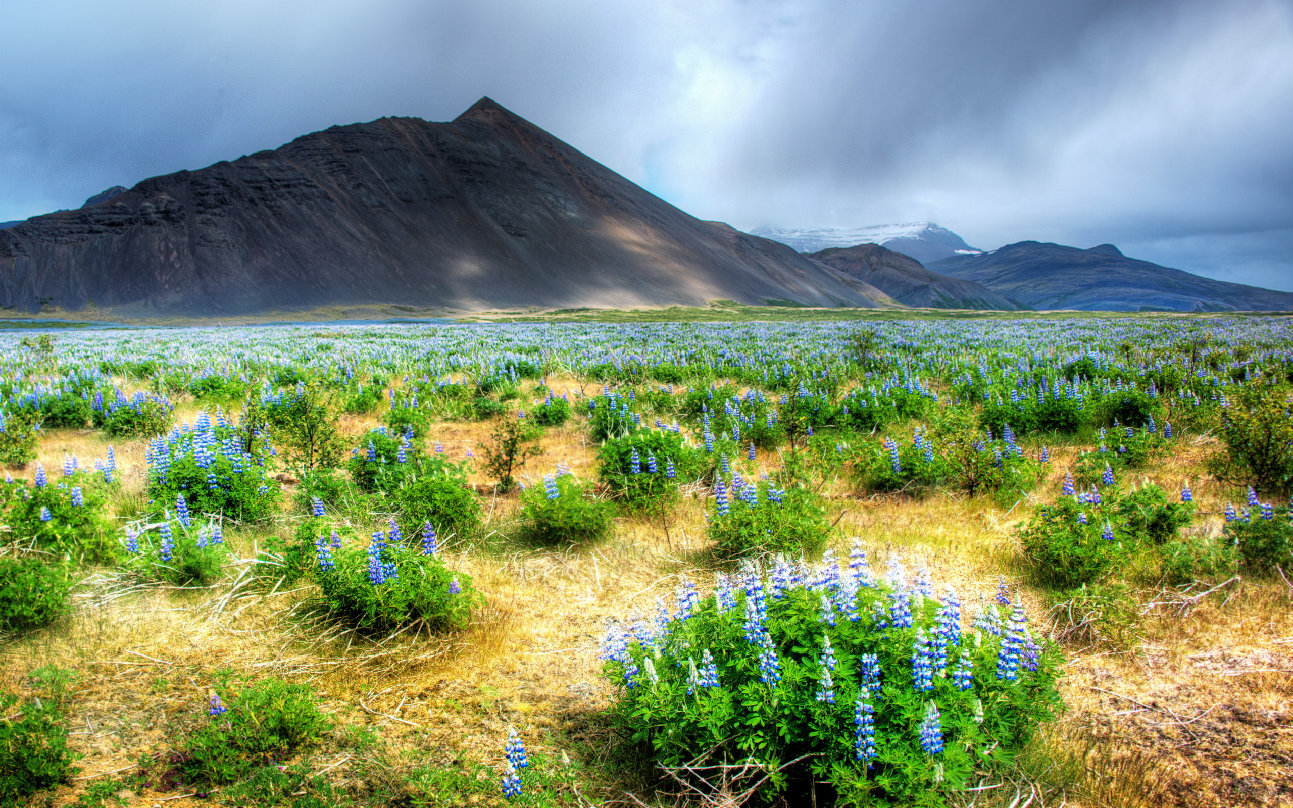 Laden Sie das Landschaft, Erde/natur-Bild kostenlos auf Ihren PC-Desktop herunter