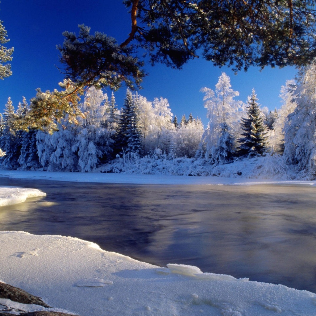 Скачать картинку Пейзаж, Зима, Природа, Вода, Снег, Дерево, Ландшафт, Земля/природа в телефон бесплатно.