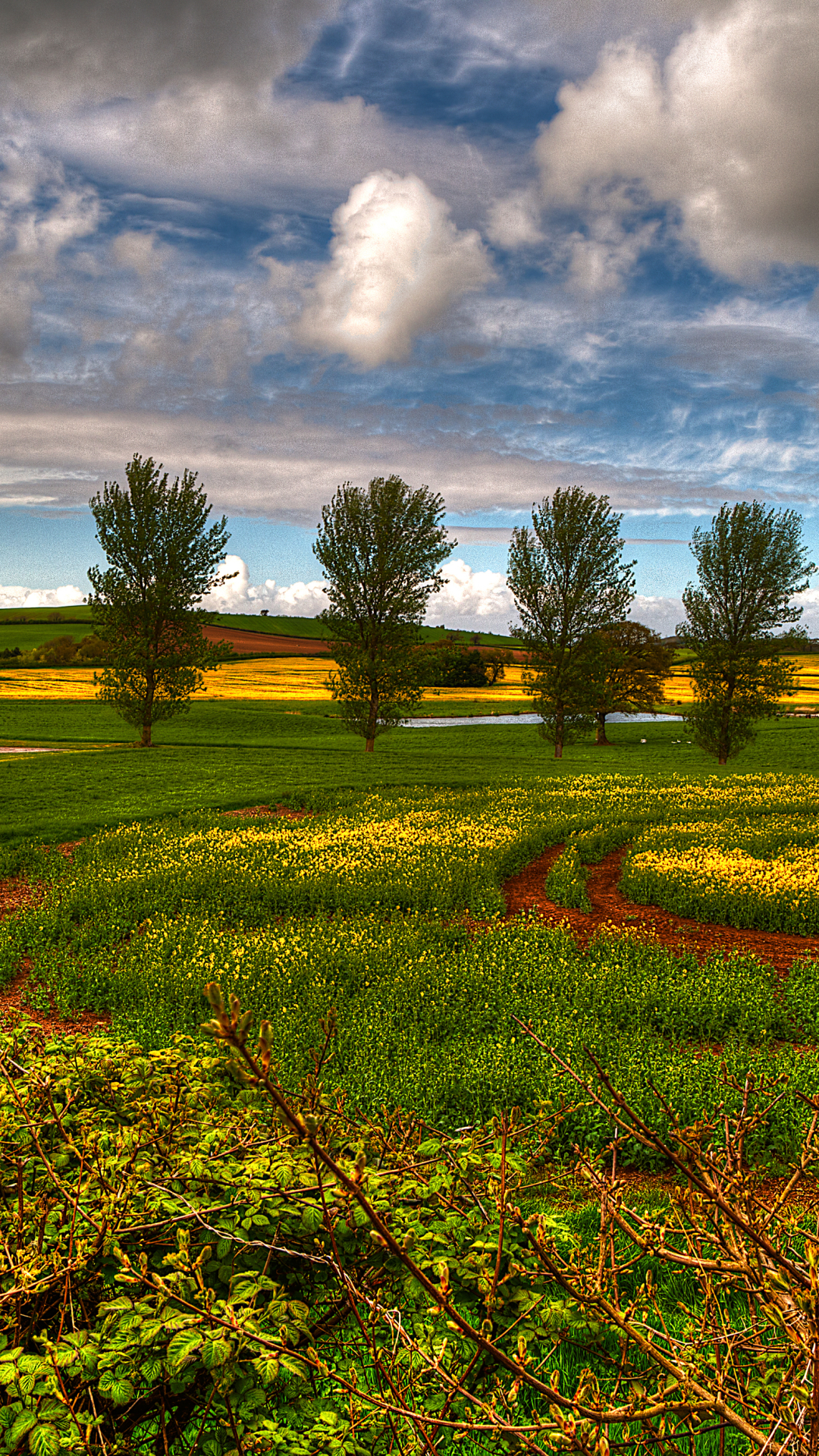 Handy-Wallpaper Landschaft, Erde/natur kostenlos herunterladen.