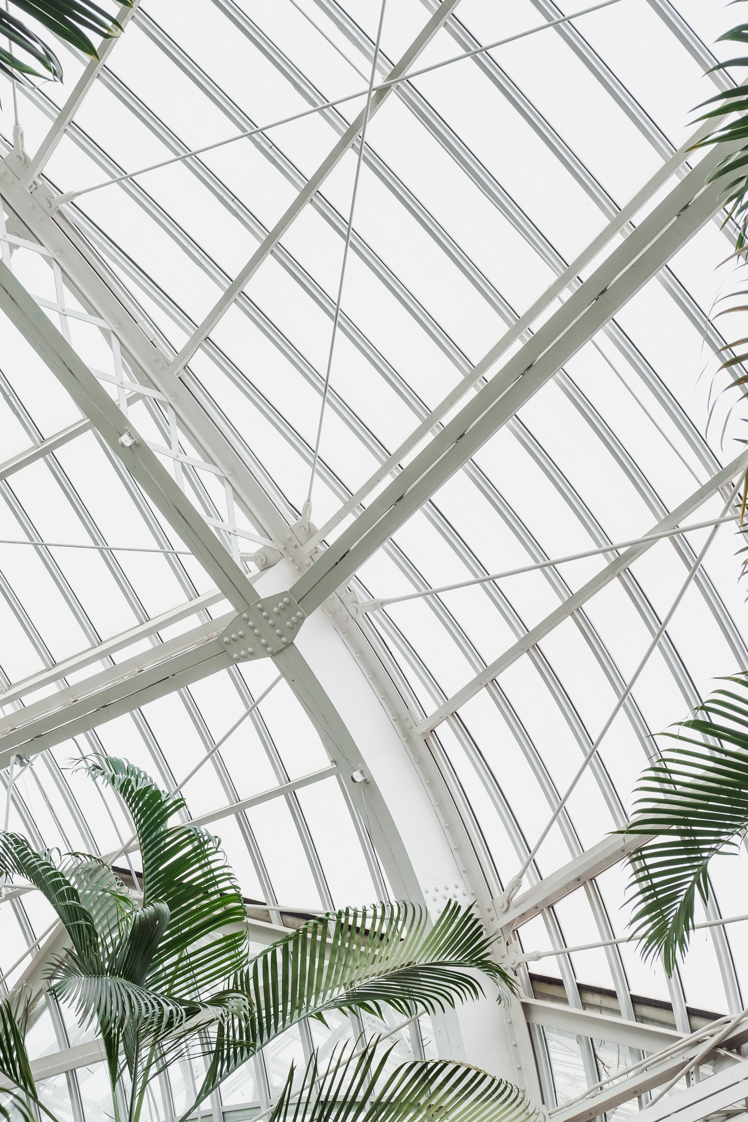 greenhouse, plant, building, minimalism, palm, design, construction