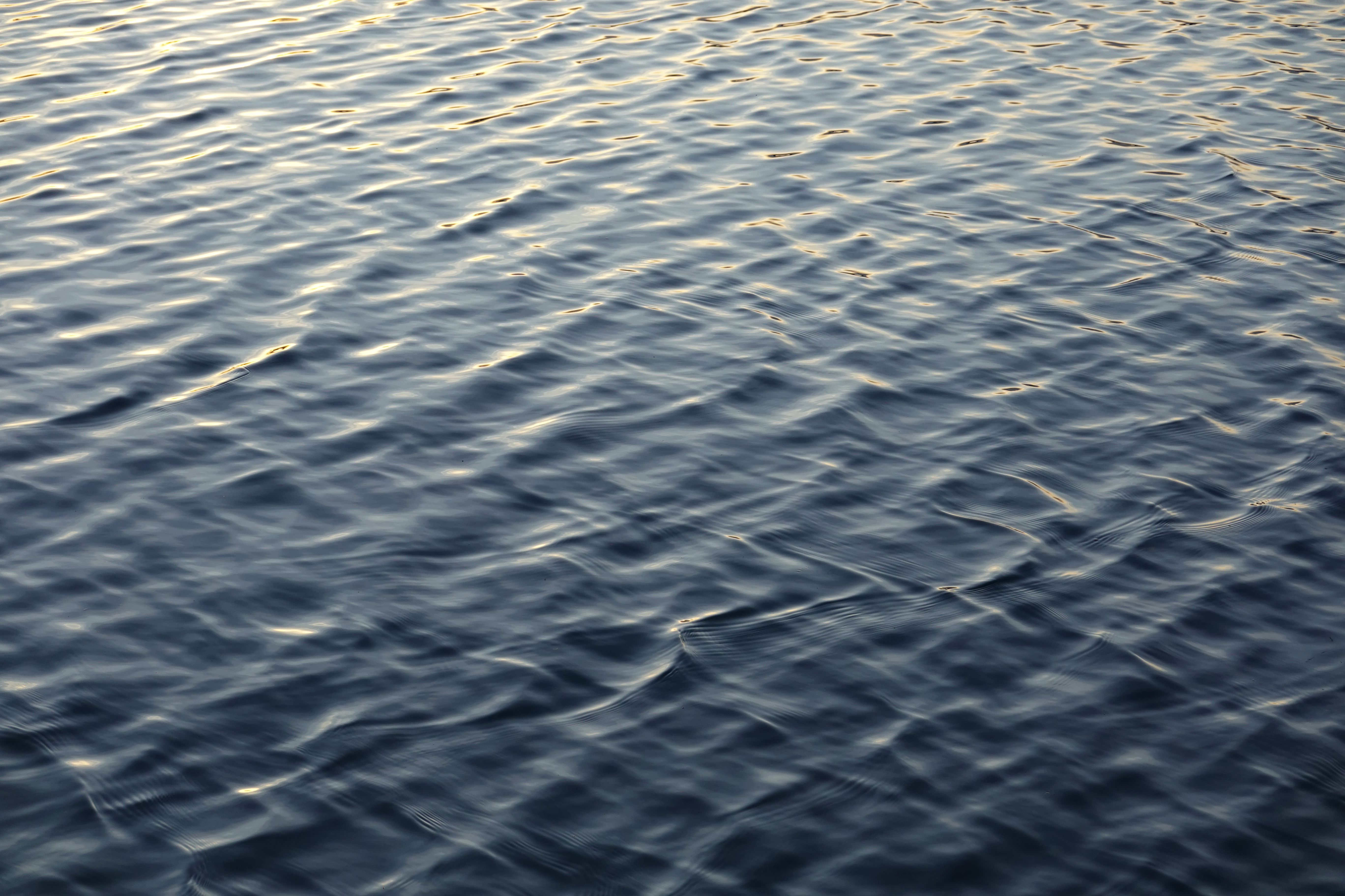 nature, water, waves, ripples, ripple, surface, basin Full HD