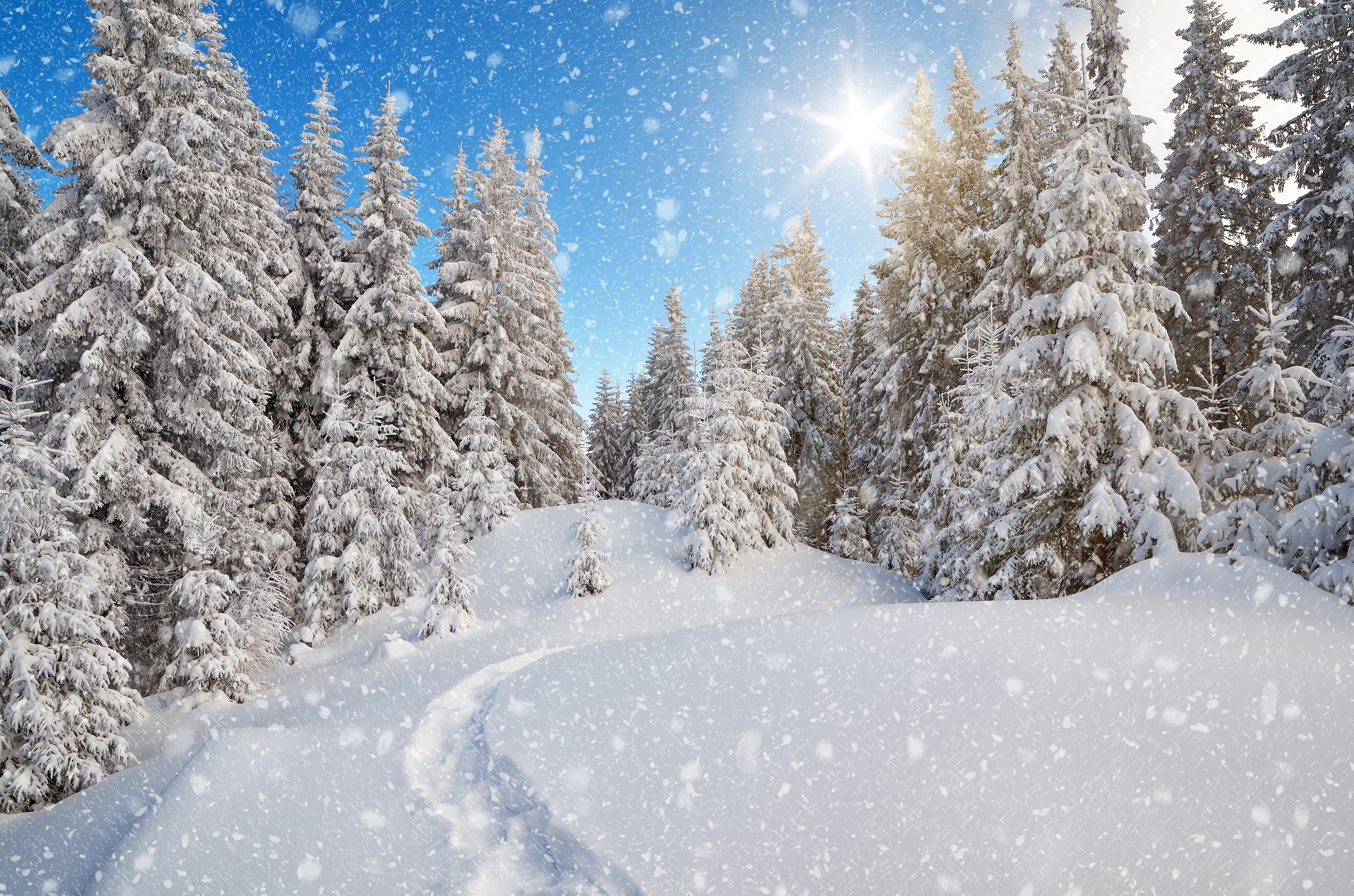 Скачать картинку Зима, Природа, Солнце, Снег, Дерево, Снегопад, Земля/природа в телефон бесплатно.