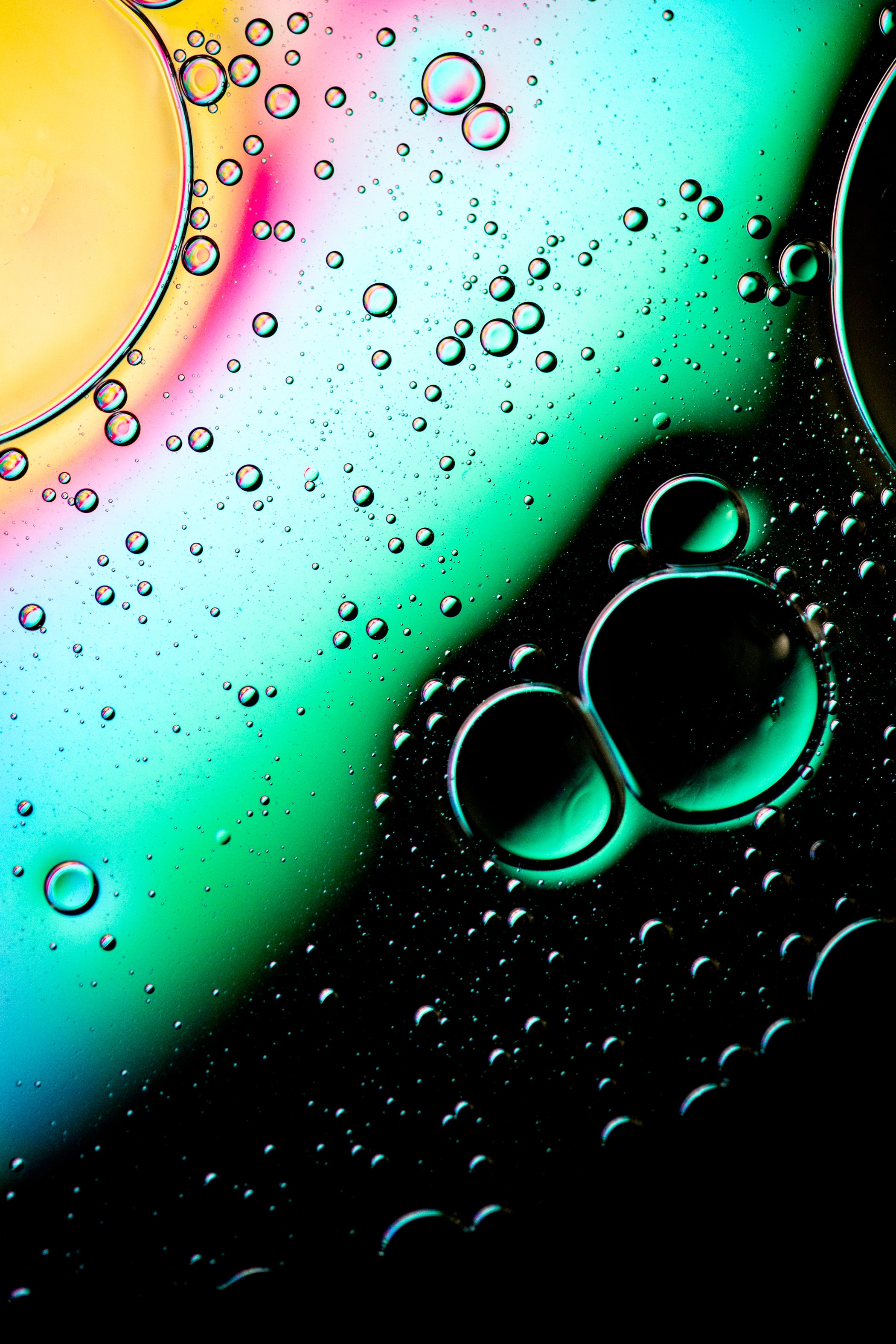 multicolored, abstract, water, bubbles, drops, motley, gradient