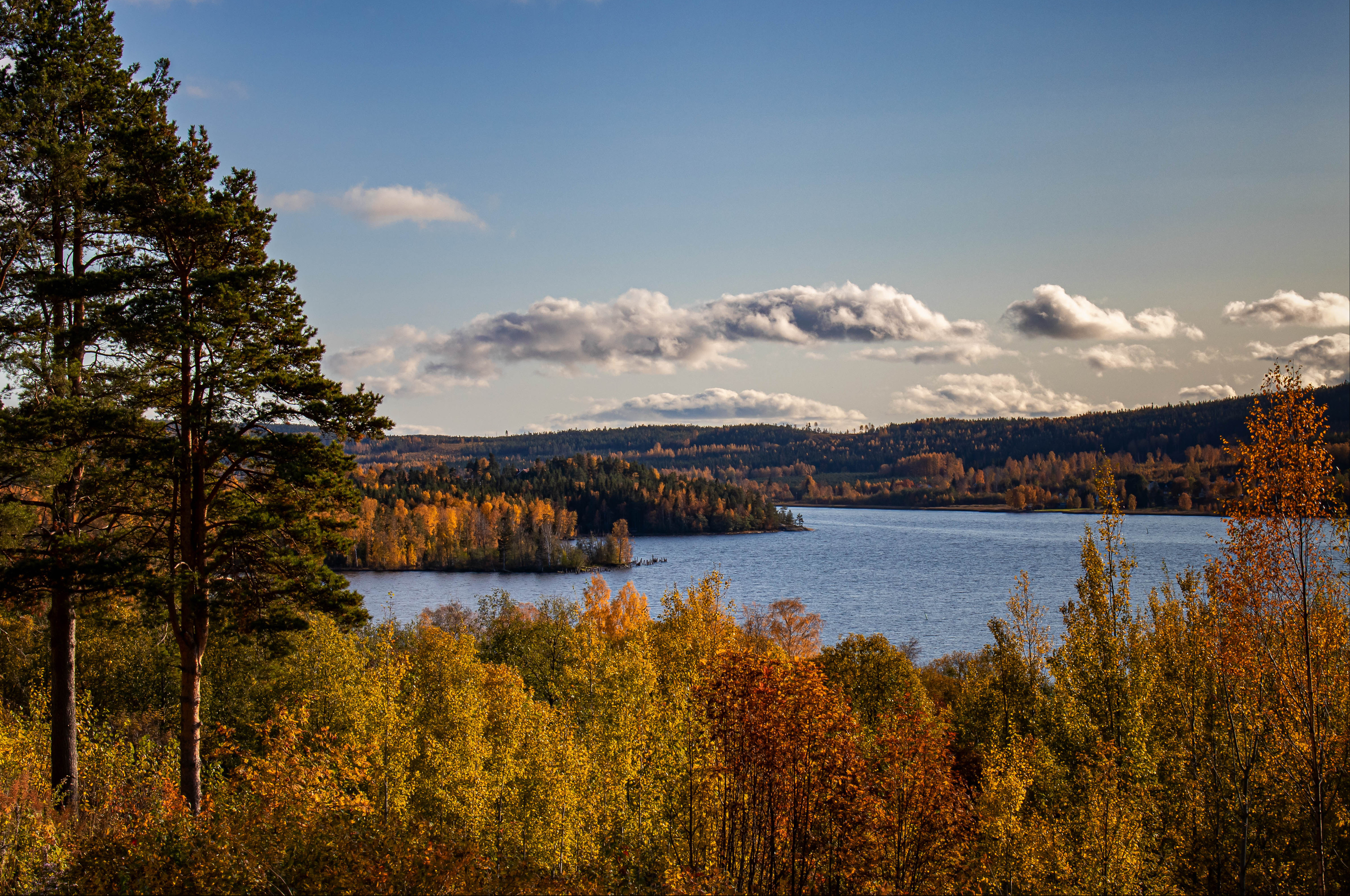 Free download wallpaper Nature, Trees, Lake, Forest, Branches, Autumn on your PC desktop