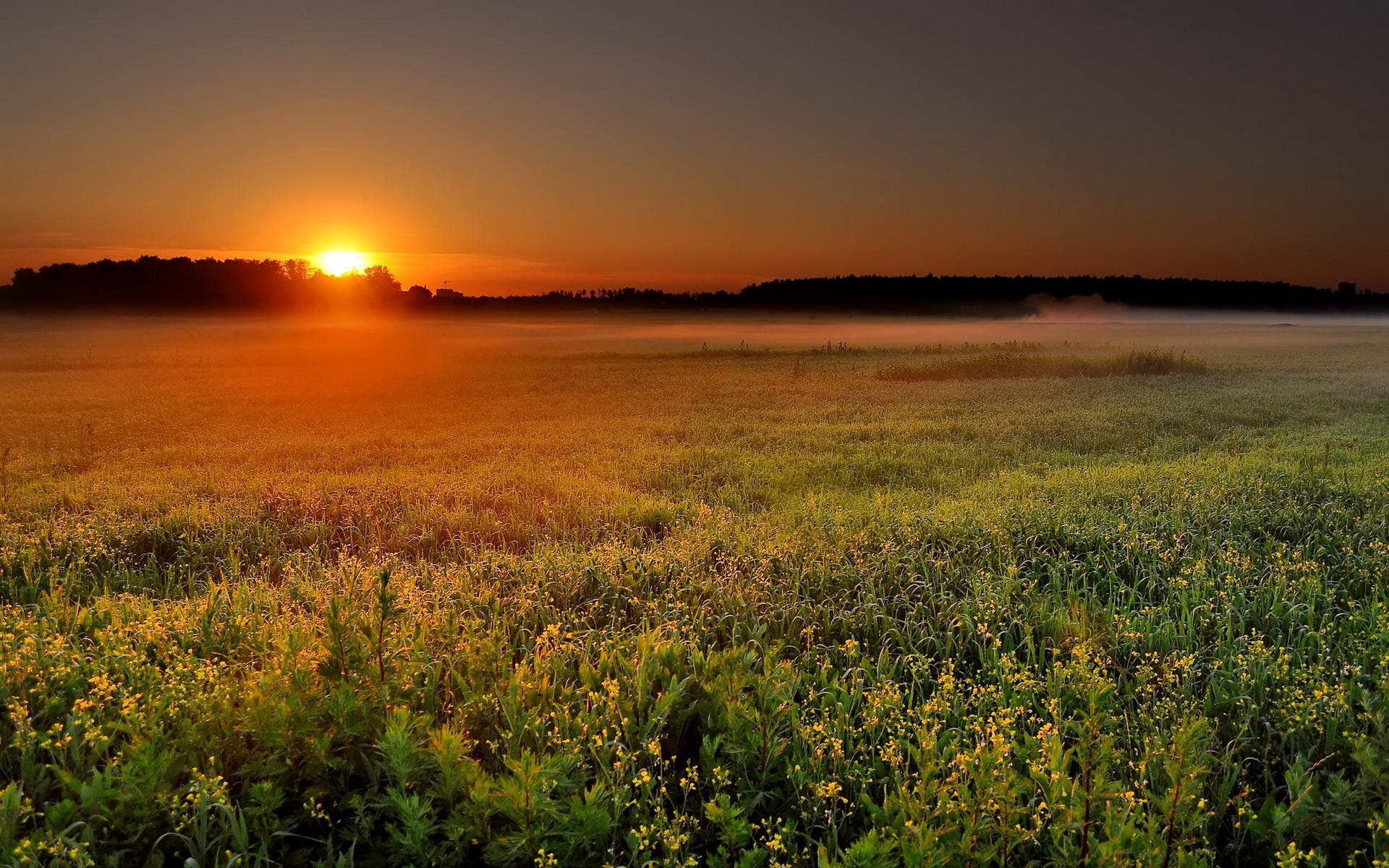 Téléchargez gratuitement l'image Terre/nature, Lever De Soleil sur le bureau de votre PC