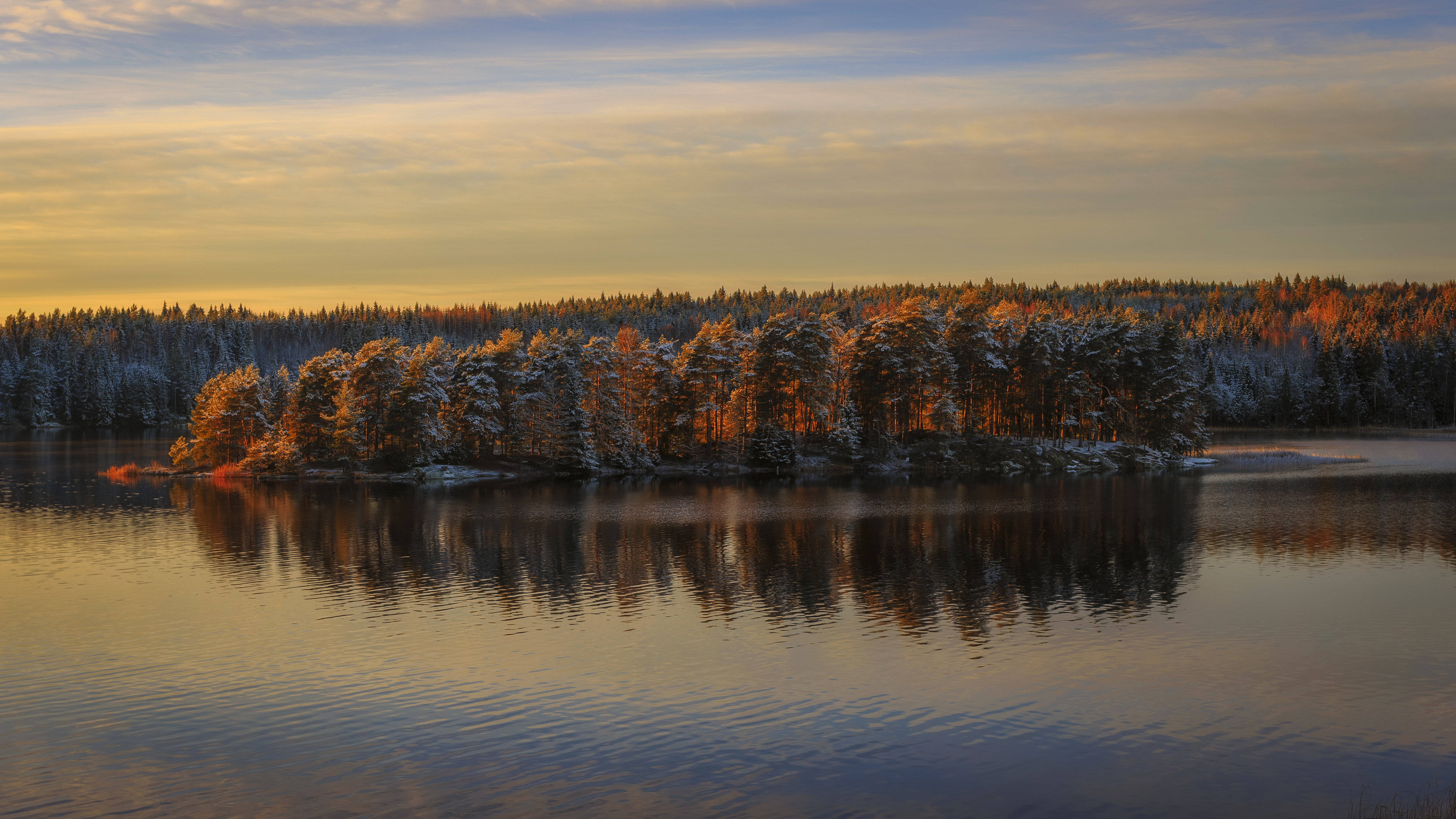 Laden Sie das Winter, Natur, Wald, Baum, Fluss, Erde/natur-Bild kostenlos auf Ihren PC-Desktop herunter