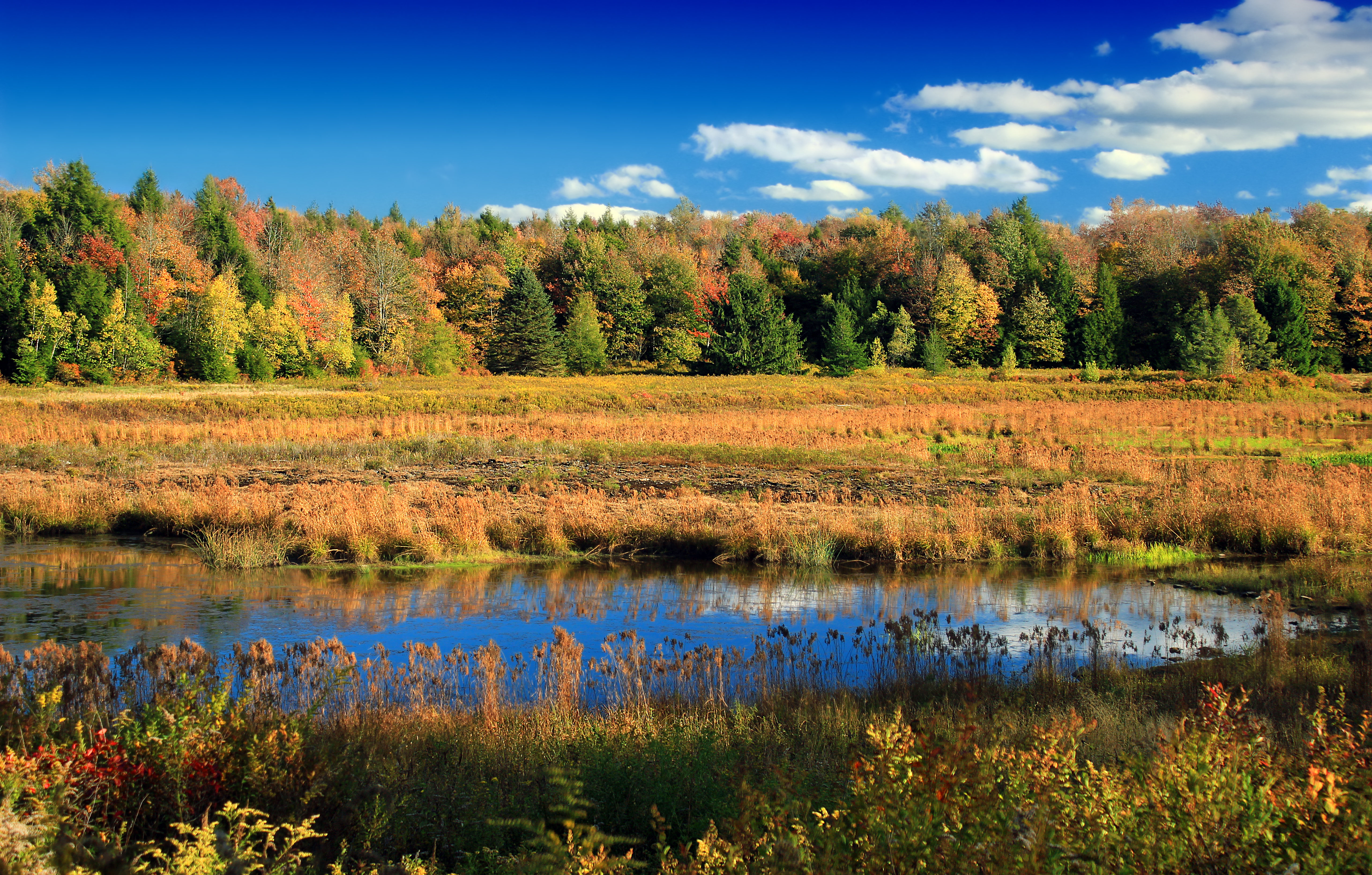 PCデスクトップに自然, 木, 湖, スカイ, 秋画像を無料でダウンロード