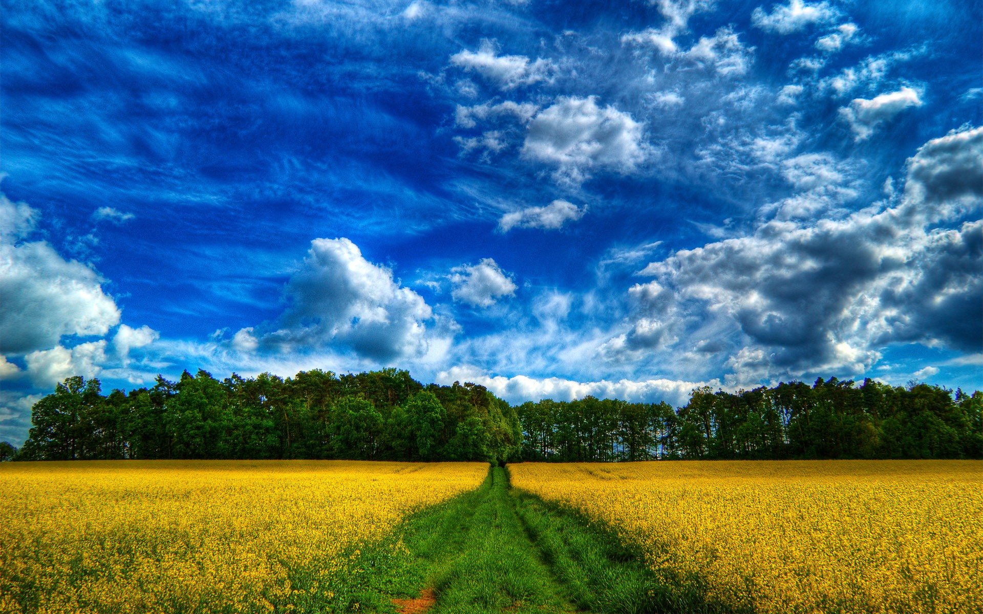Download mobile wallpaper Nature, Sky, Tree, Earth, Field, Path, Hdr, Cloud for free.