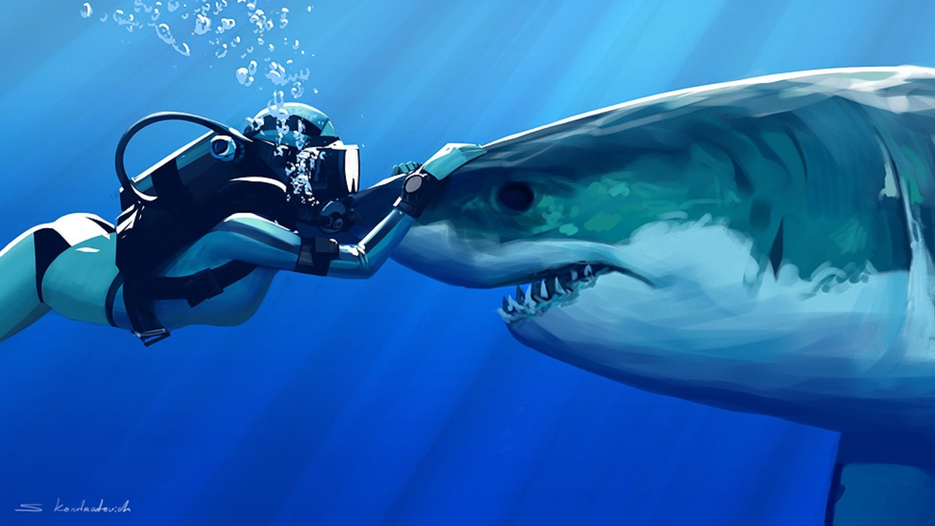 264022 baixar imagens animais, tubarão - papéis de parede e protetores de tela gratuitamente