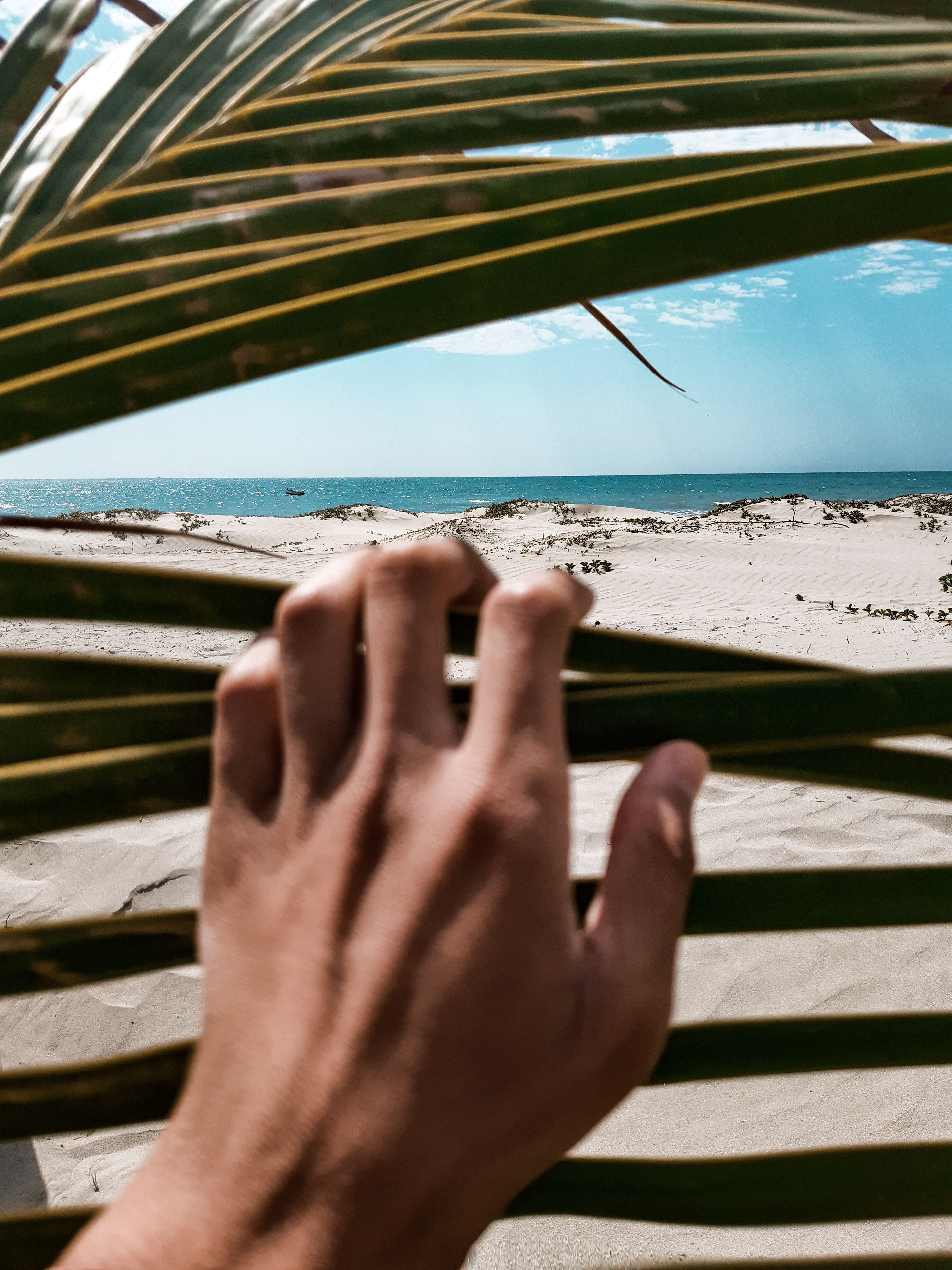 Скачать картинку Песок, Рука, Листья, Пляж, Море, Разное в телефон бесплатно.
