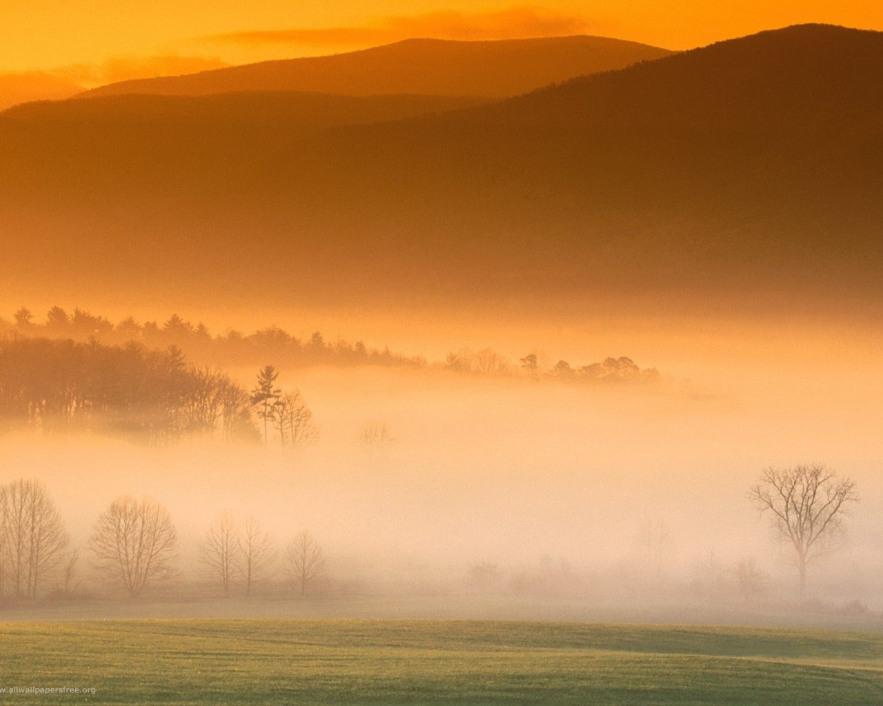 Téléchargez gratuitement l'image Brouillard, Terre/nature sur le bureau de votre PC