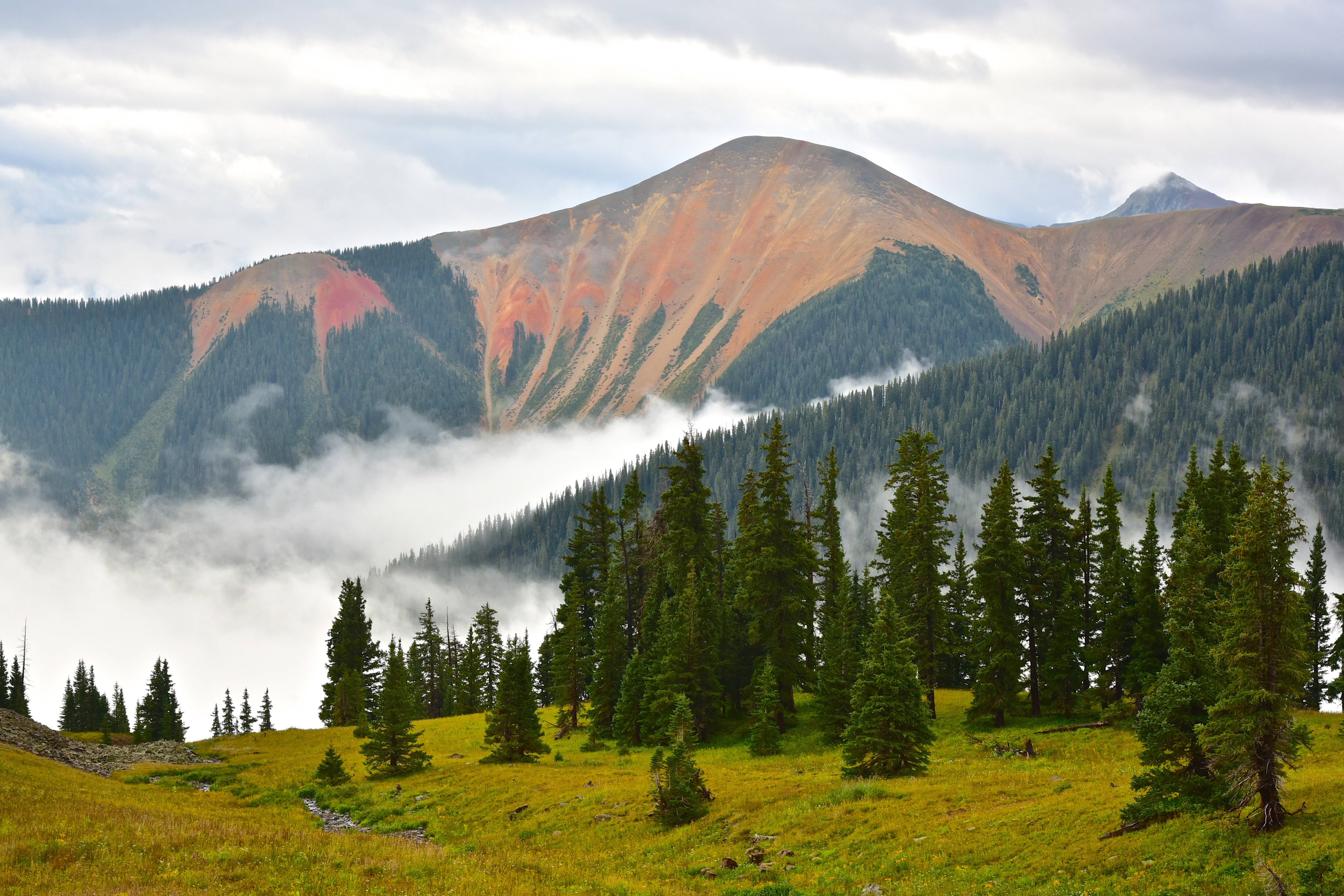 Handy-Wallpaper Mountains, Nebel, Fichte, Fir, Natur, Clouds, Wald kostenlos herunterladen.