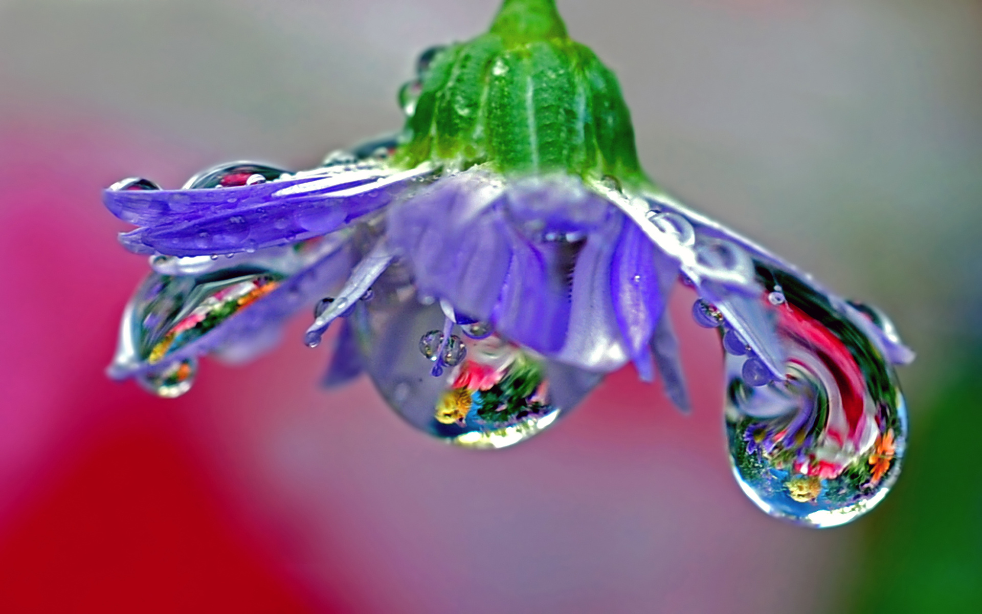 Download mobile wallpaper Earth, Water Drop for free.