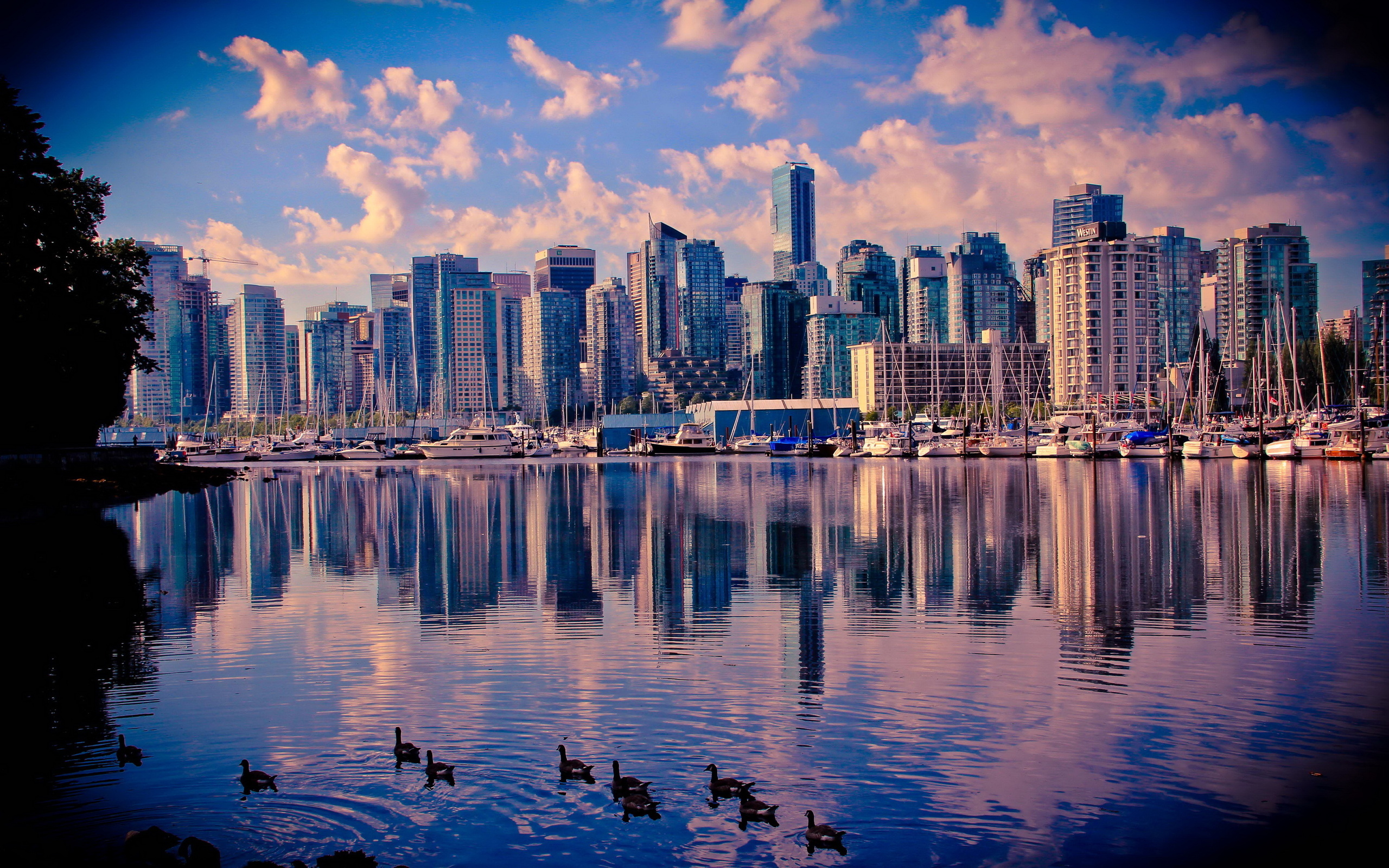 Laden Sie das Städte, Kanada, Stadtbild, Vancouver, Menschengemacht, Großstadt-Bild kostenlos auf Ihren PC-Desktop herunter