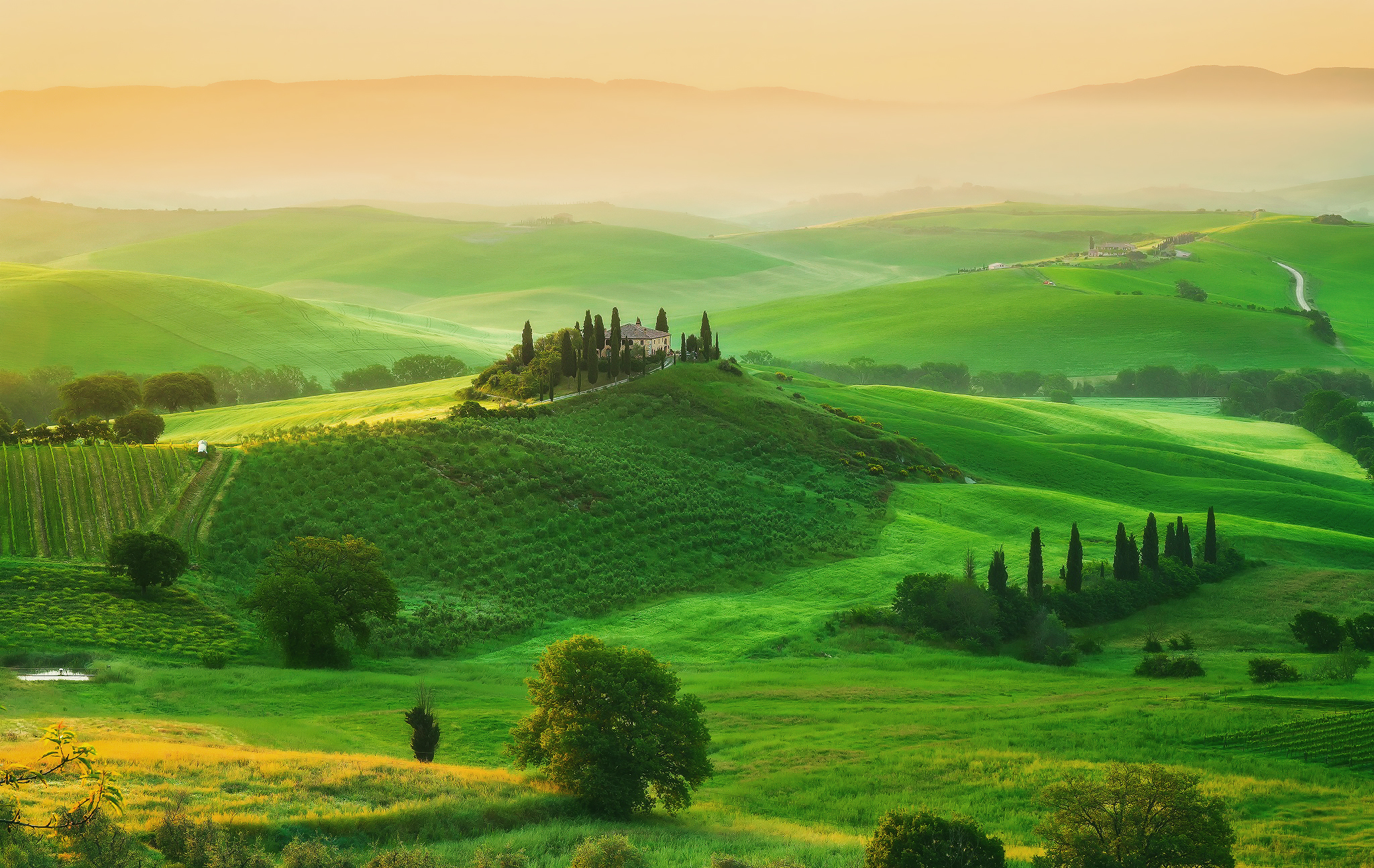 118909 скачать обои италия, тоскана, поле, трава, природа, усадьба - заставки и картинки бесплатно