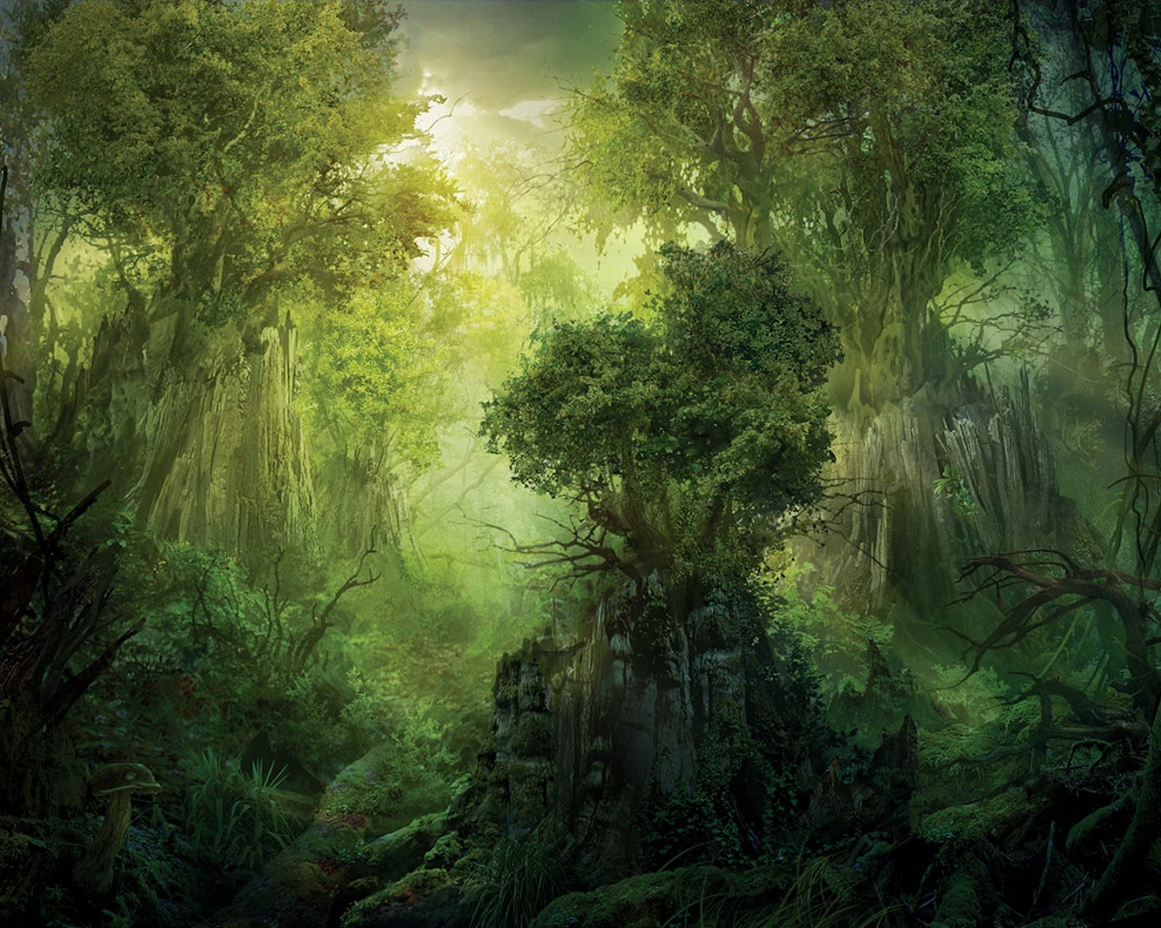Free download wallpaper Nature, Fantasy, Forest on your PC desktop
