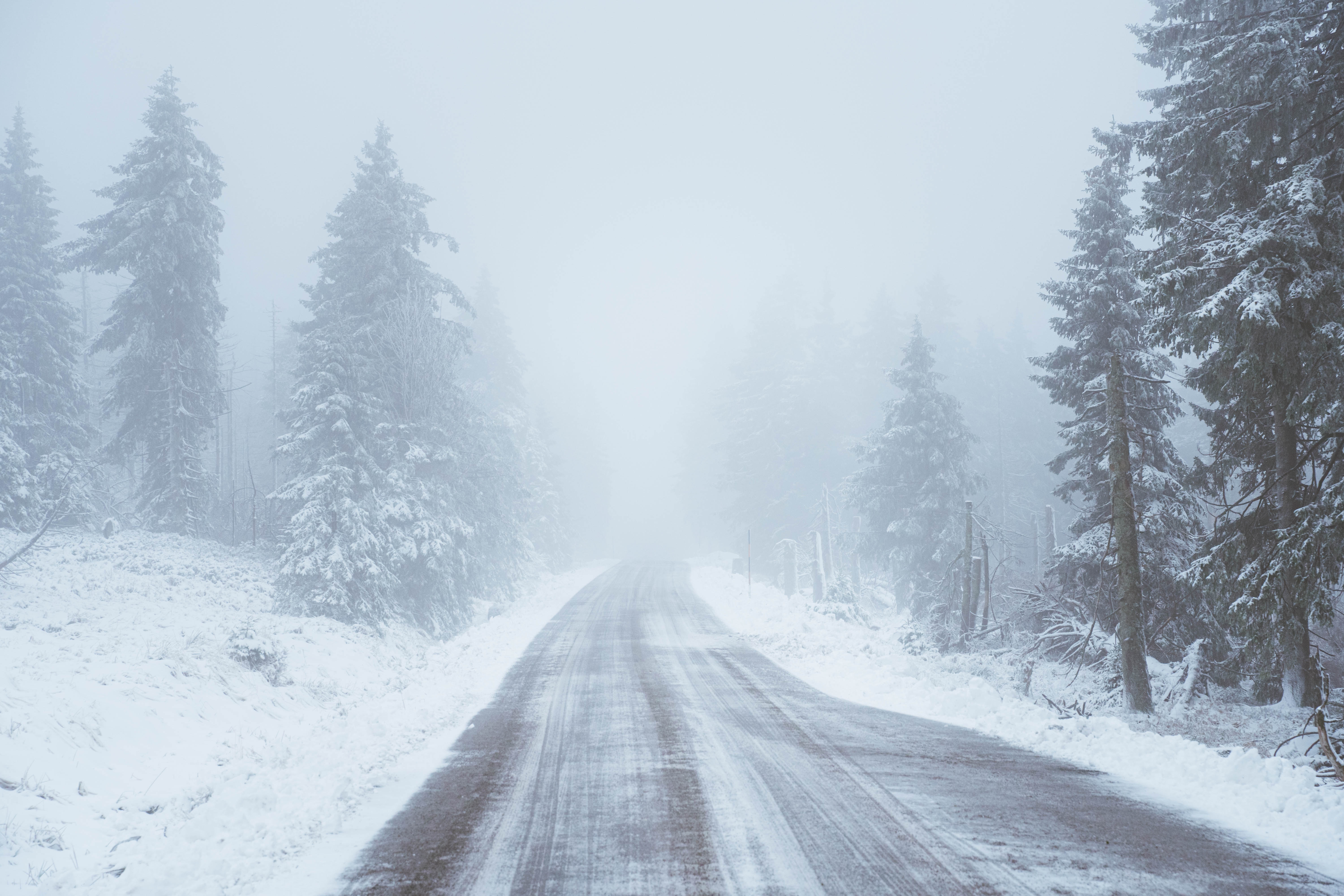 120862 завантажити картинку зима, природа, дерева, сніг, дорога, заметіль, хуртовина - шпалери і заставки безкоштовно