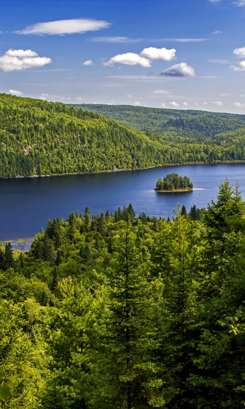 無料モバイル壁紙風景, 自然, 木, 湖, 森, 地球をダウンロードします。