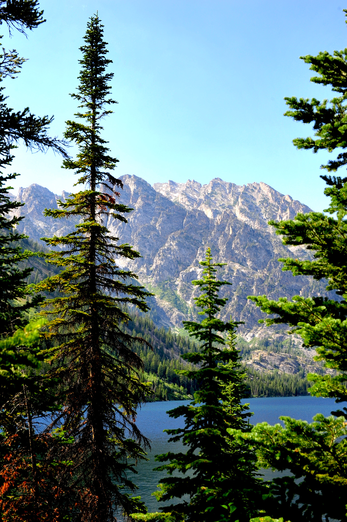 Free download wallpaper Mountains, Lake, Spruce, Fir, Nature, Forest on your PC desktop