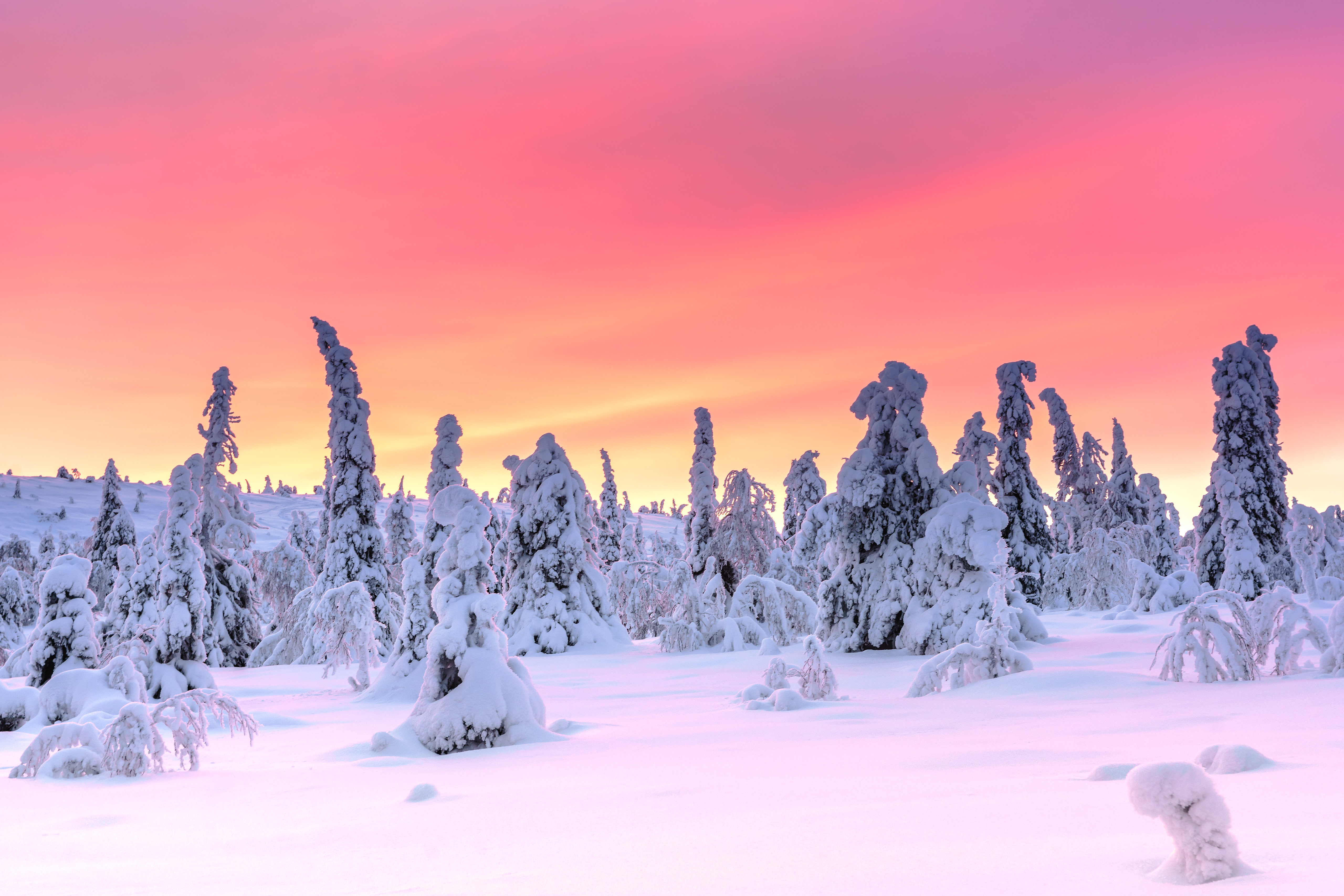 Скачать обои бесплатно Зима, Закат, Снег, Земля/природа картинка на рабочий стол ПК