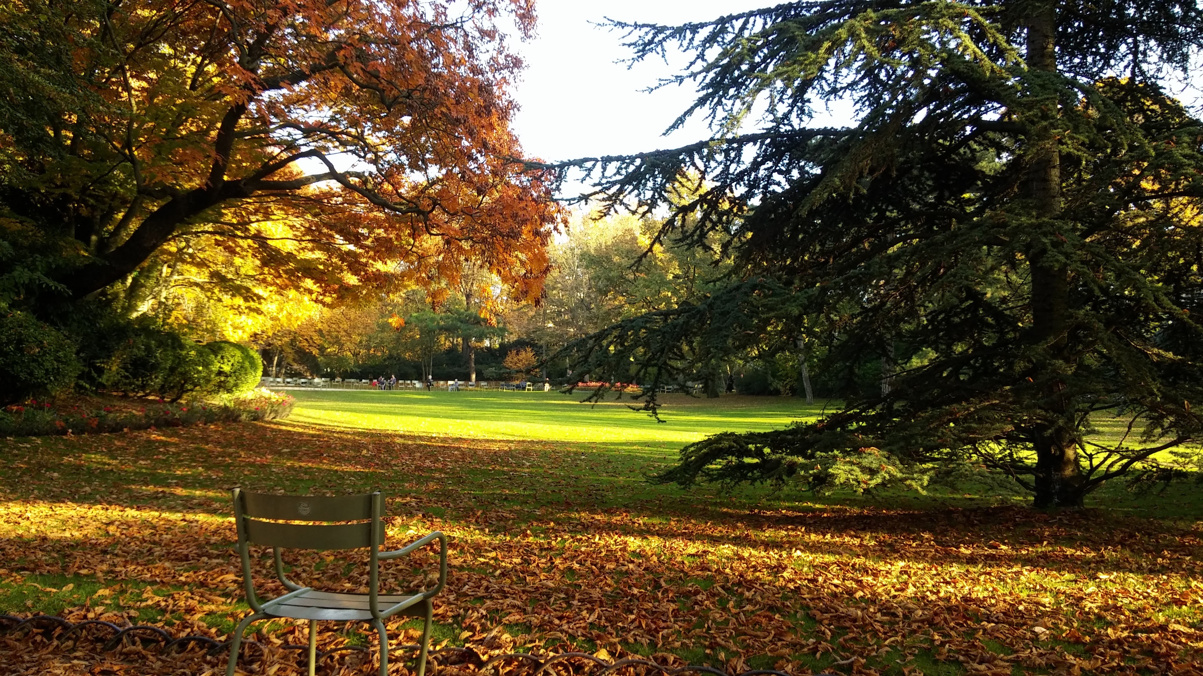 nature, paris, luxembourg, autumn, chair, park, france
