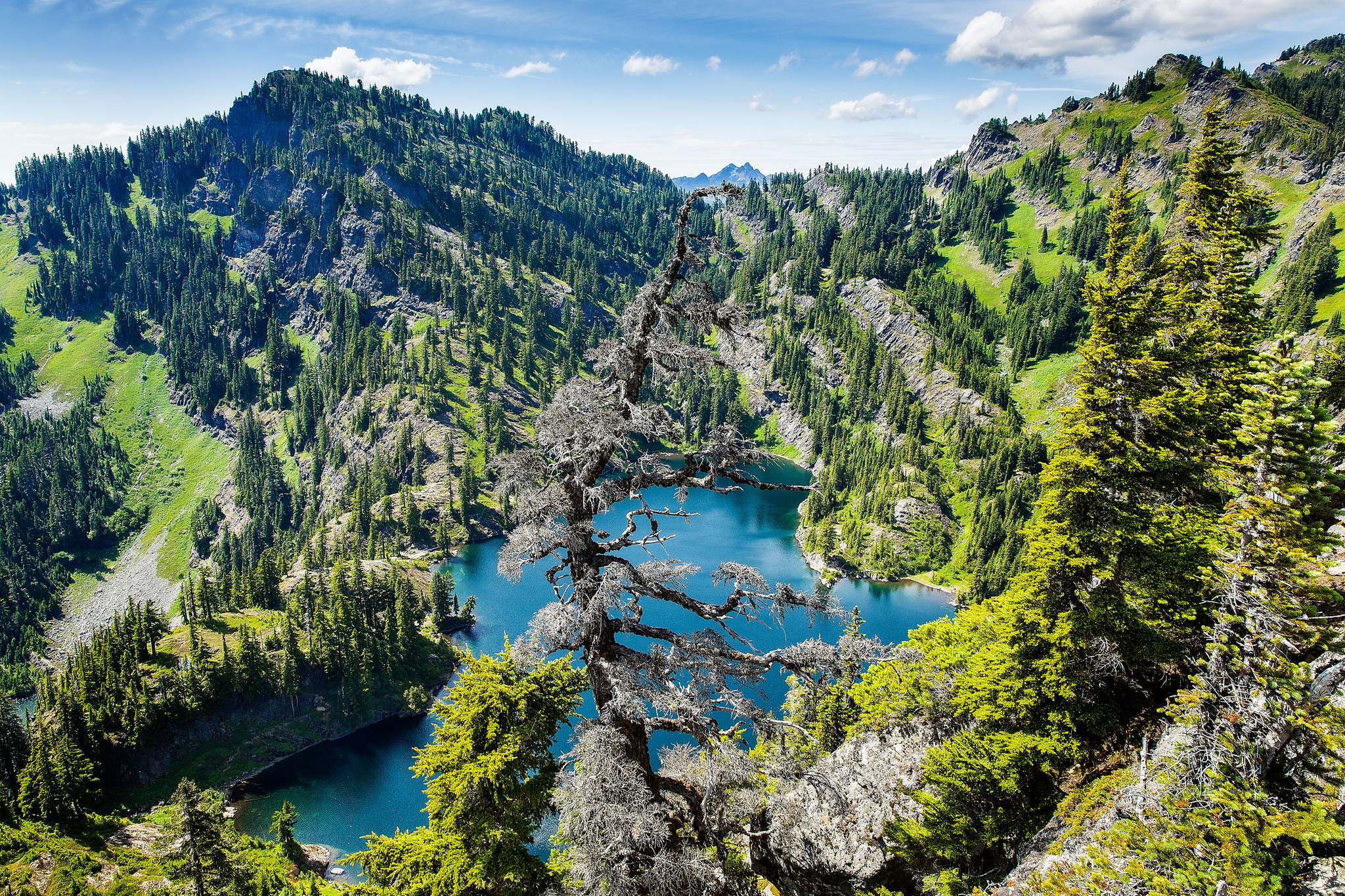 Laden Sie das Landschaft, Seen, See, Wald, Baum, Gebirge, Erde/natur-Bild kostenlos auf Ihren PC-Desktop herunter