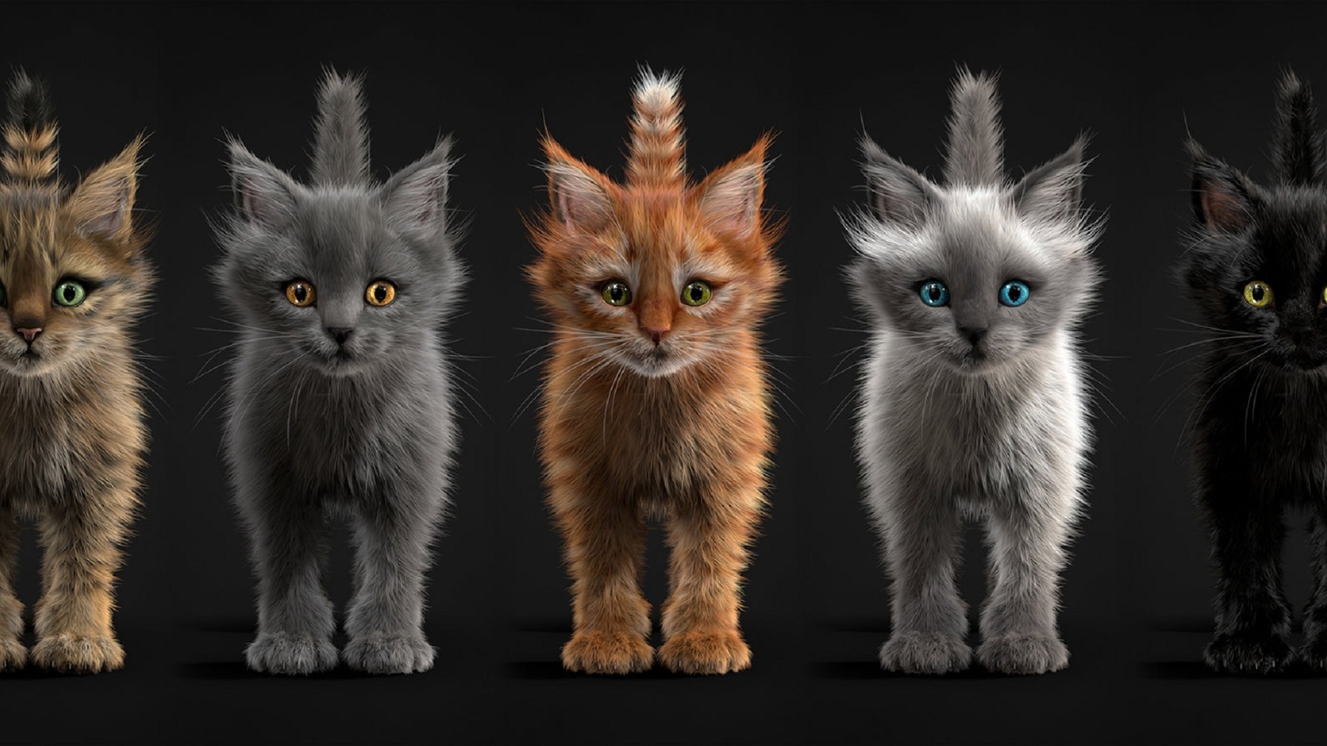Download mobile wallpaper Cats, Cat, Kitten, Brown, Colors, Animal, Eye for free.