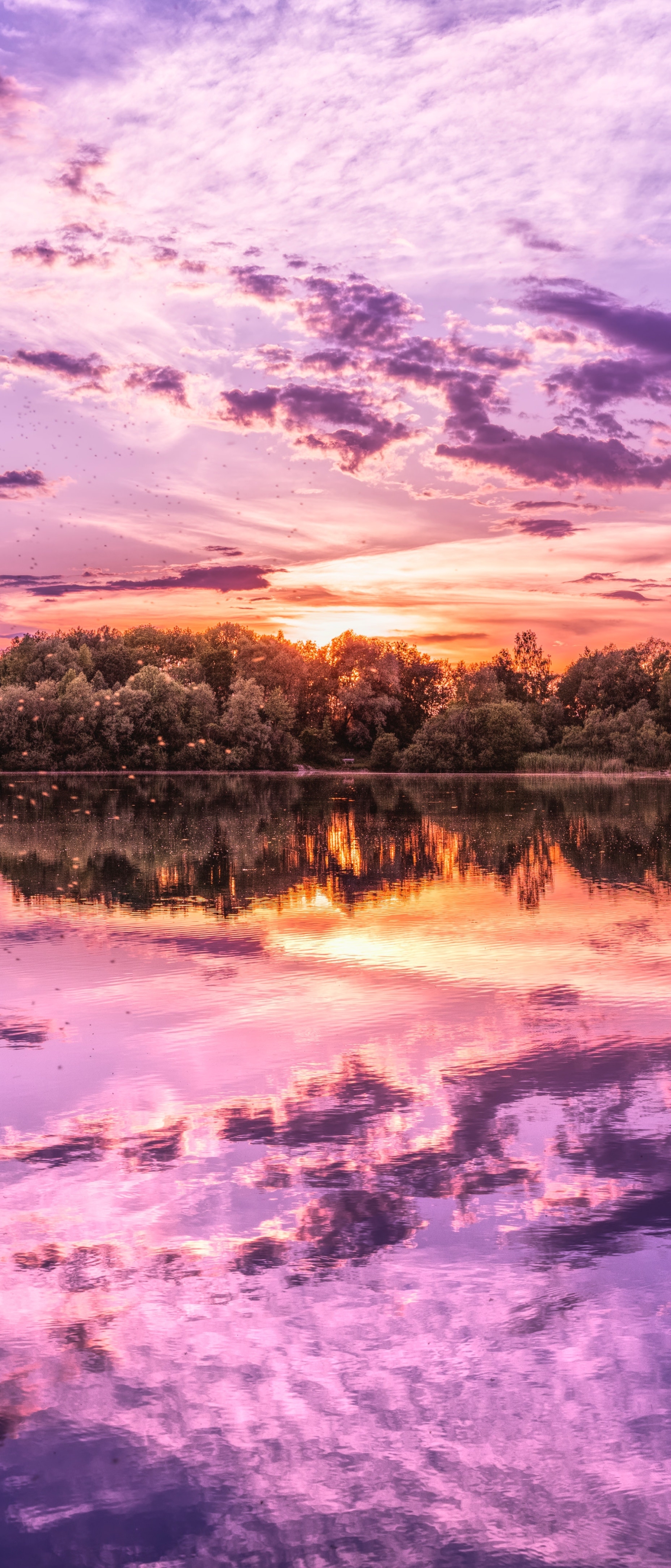 Descarga gratuita de fondo de pantalla para móvil de Naturaleza, Amanecer, Lago, Tierra/naturaleza, Reflejo.