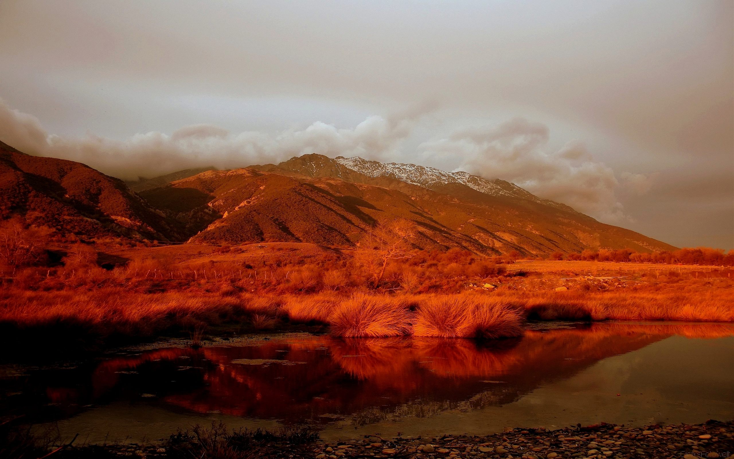 Descarga gratis la imagen Paisaje, Tierra/naturaleza en el escritorio de tu PC