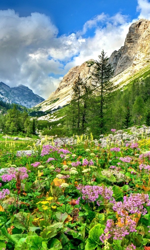 1238815壁紙のダウンロード地球, 牧草地, 自然, 春, スロベニア, ジュリアン アルプス, 山, 風景-スクリーンセーバーと写真を無料で