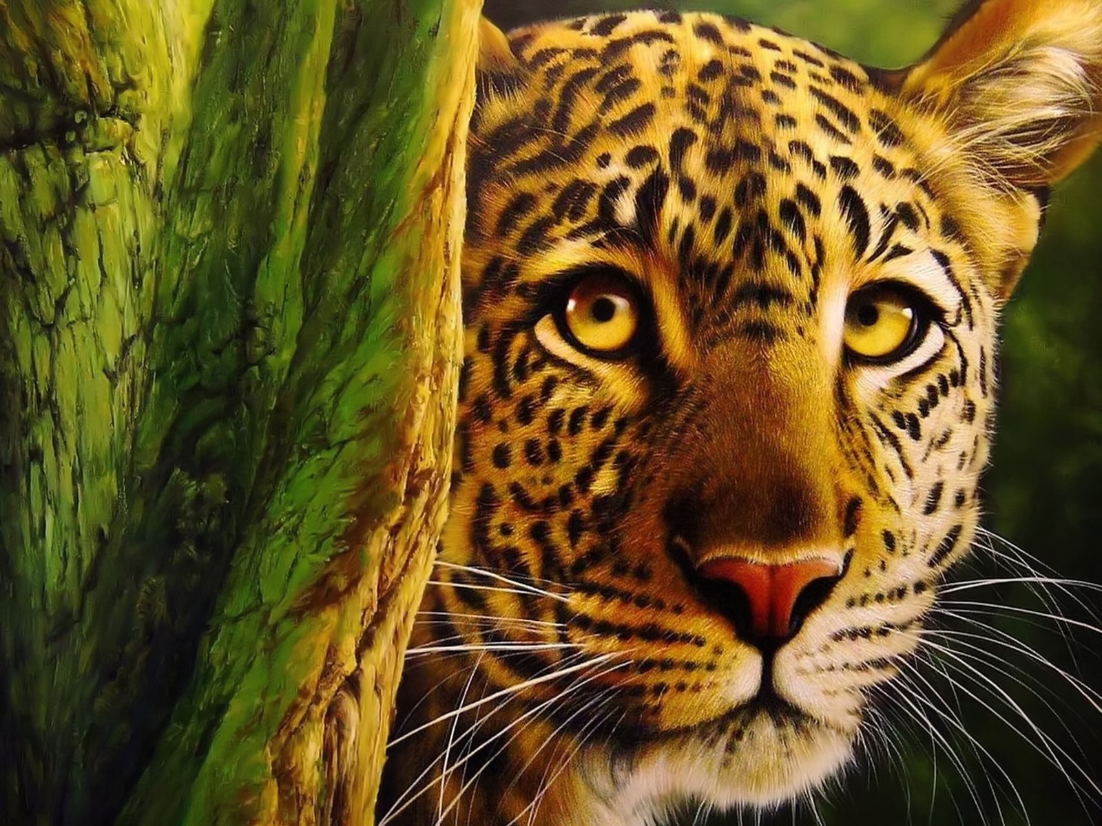 162495 Hintergrundbild herunterladen tiere, leopard, katzen - Bildschirmschoner und Bilder kostenlos
