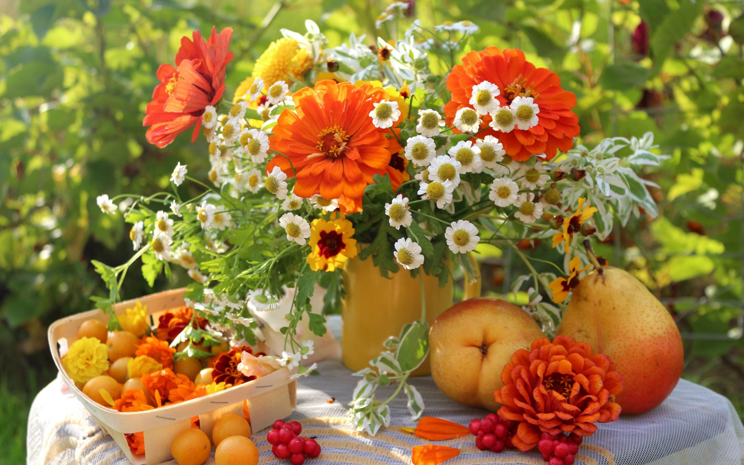 Baixe gratuitamente a imagem Flores, Bouquets, Plantas na área de trabalho do seu PC
