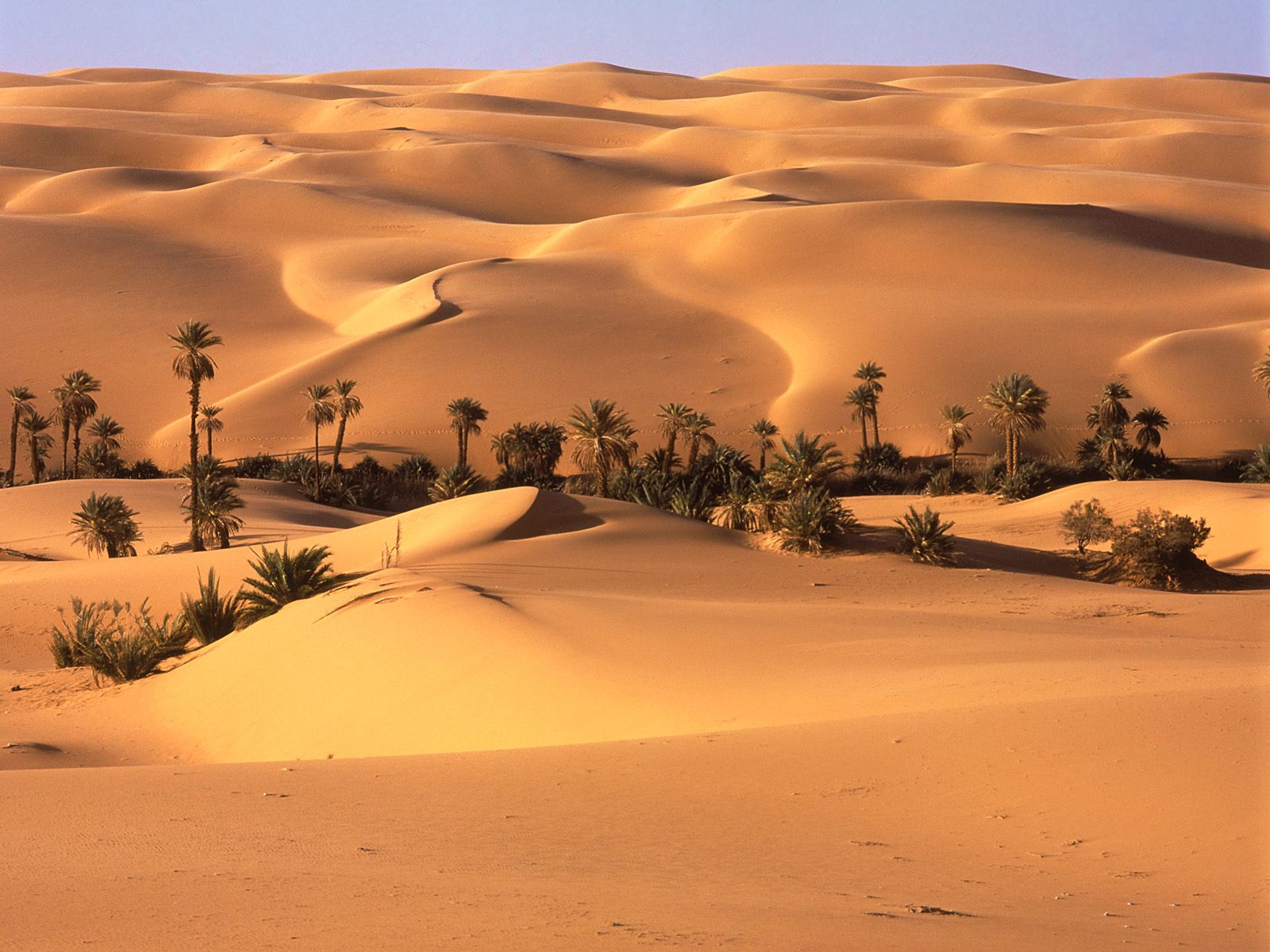 desert, earth