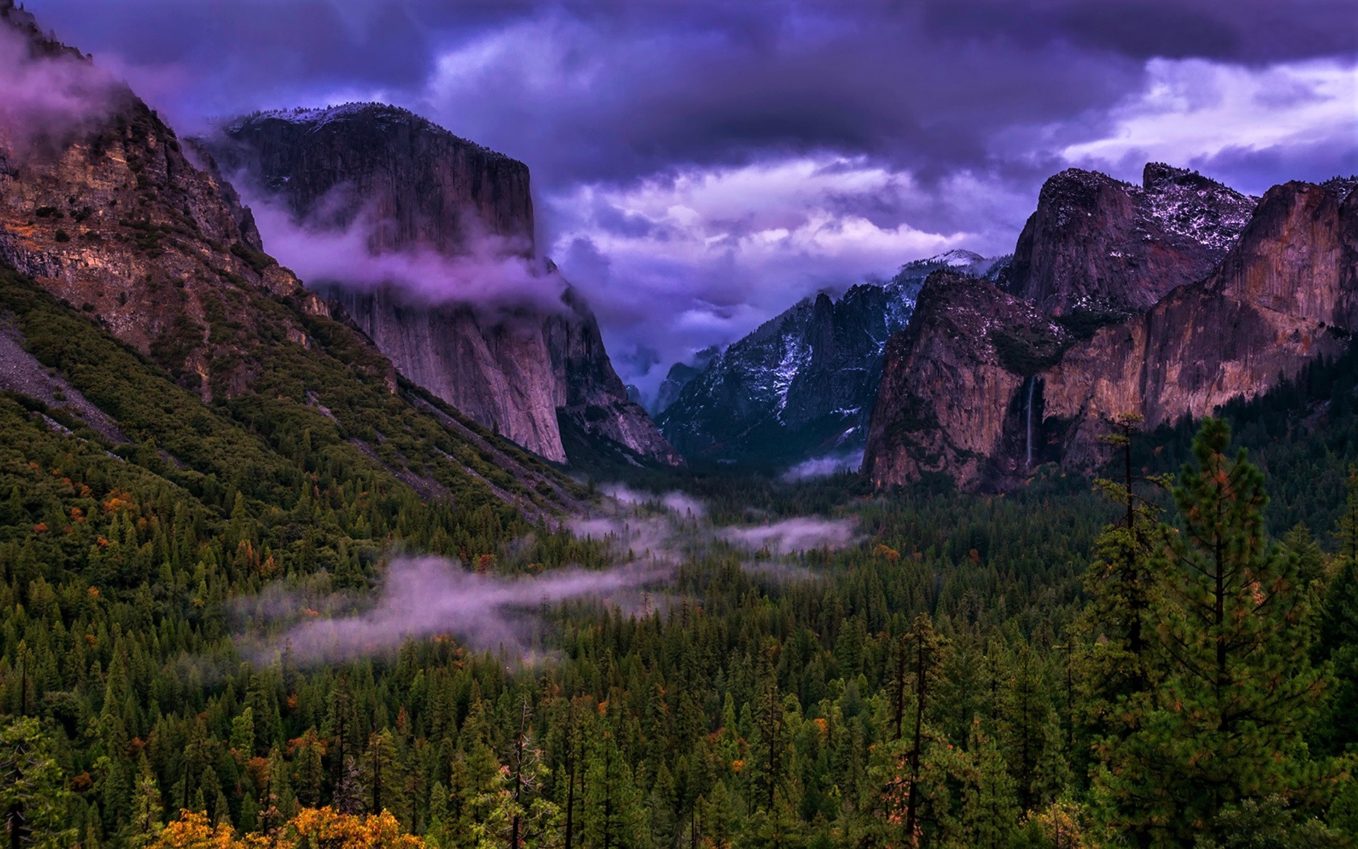 Free download wallpaper Forest, Fog, Earth, National Park, Cloud, Yosemite National Park on your PC desktop