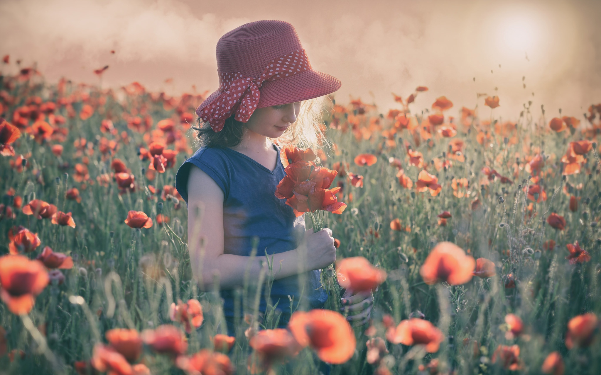 Laden Sie das Mohn, Sommer, Blume, Kind, Hut, Fotografie, Rote Blume-Bild kostenlos auf Ihren PC-Desktop herunter