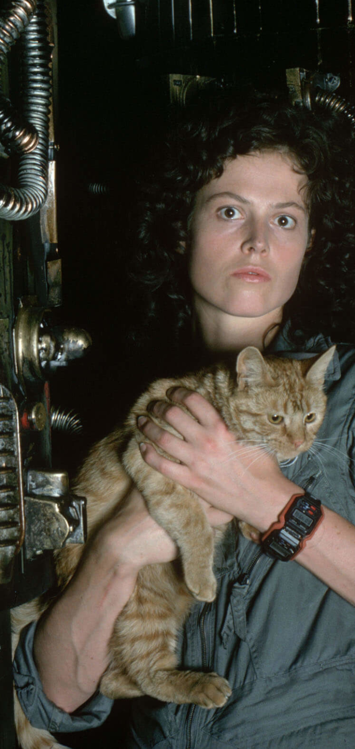 Handy-Wallpaper Katze, Filme, Alien: Das Unheimliche Wesen Aus Einer Fremden Welt, Sigourney Weaver, Ellen Ripley kostenlos herunterladen.