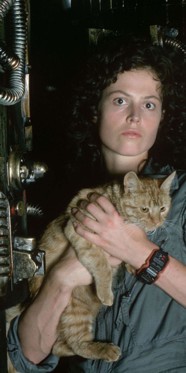 Phone wallpaper: Movie, Alien, Sigourney Weaver, Ellen Ripley, Cat 1165860