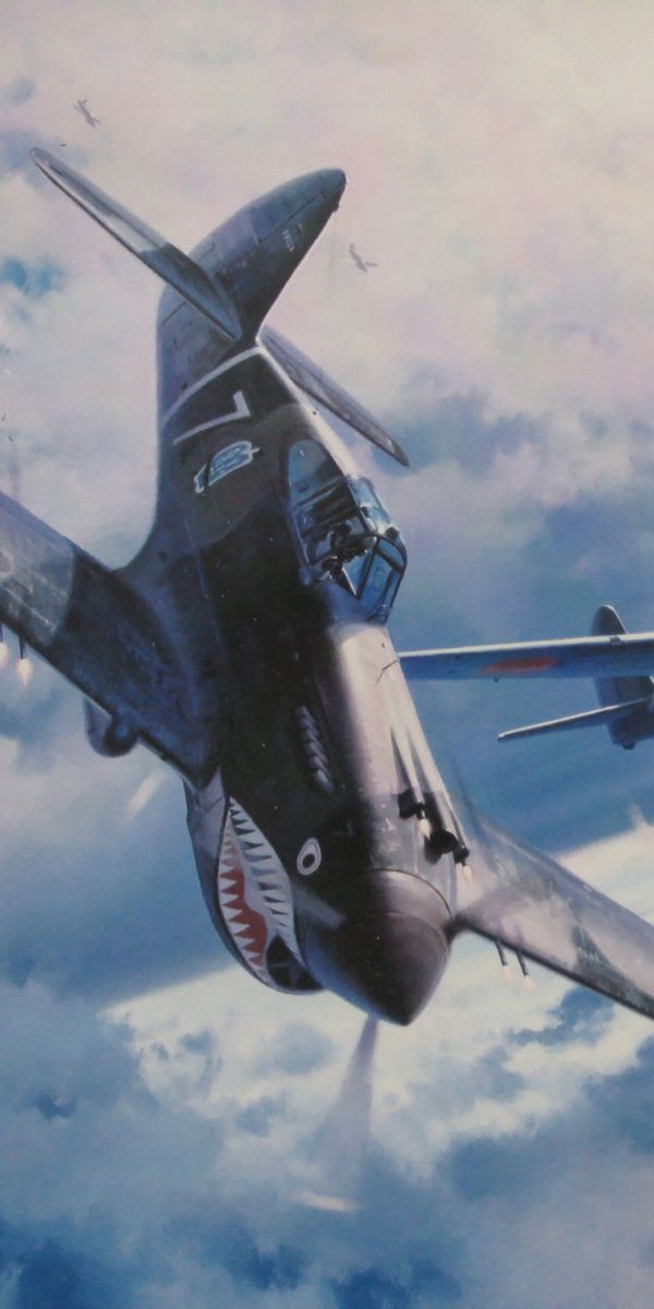 Phone wallpaper: Curtiss P 40 Warhawk, Military, Aircraft, Warplane ...