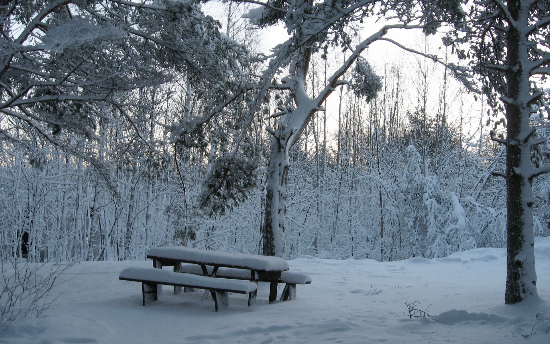 Descarga gratis la imagen Invierno, Fotografía en el escritorio de tu PC