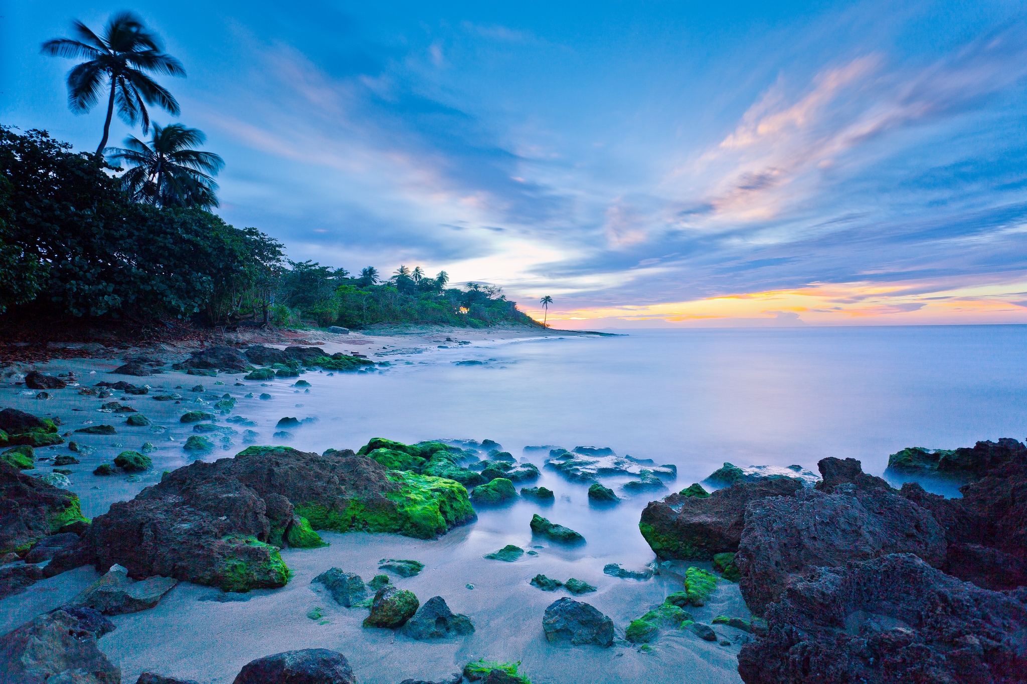 Descarga gratuita de fondo de pantalla para móvil de Playa, Horizonte, Costa, Océano, Tierra/naturaleza, Palmera, Tropico.