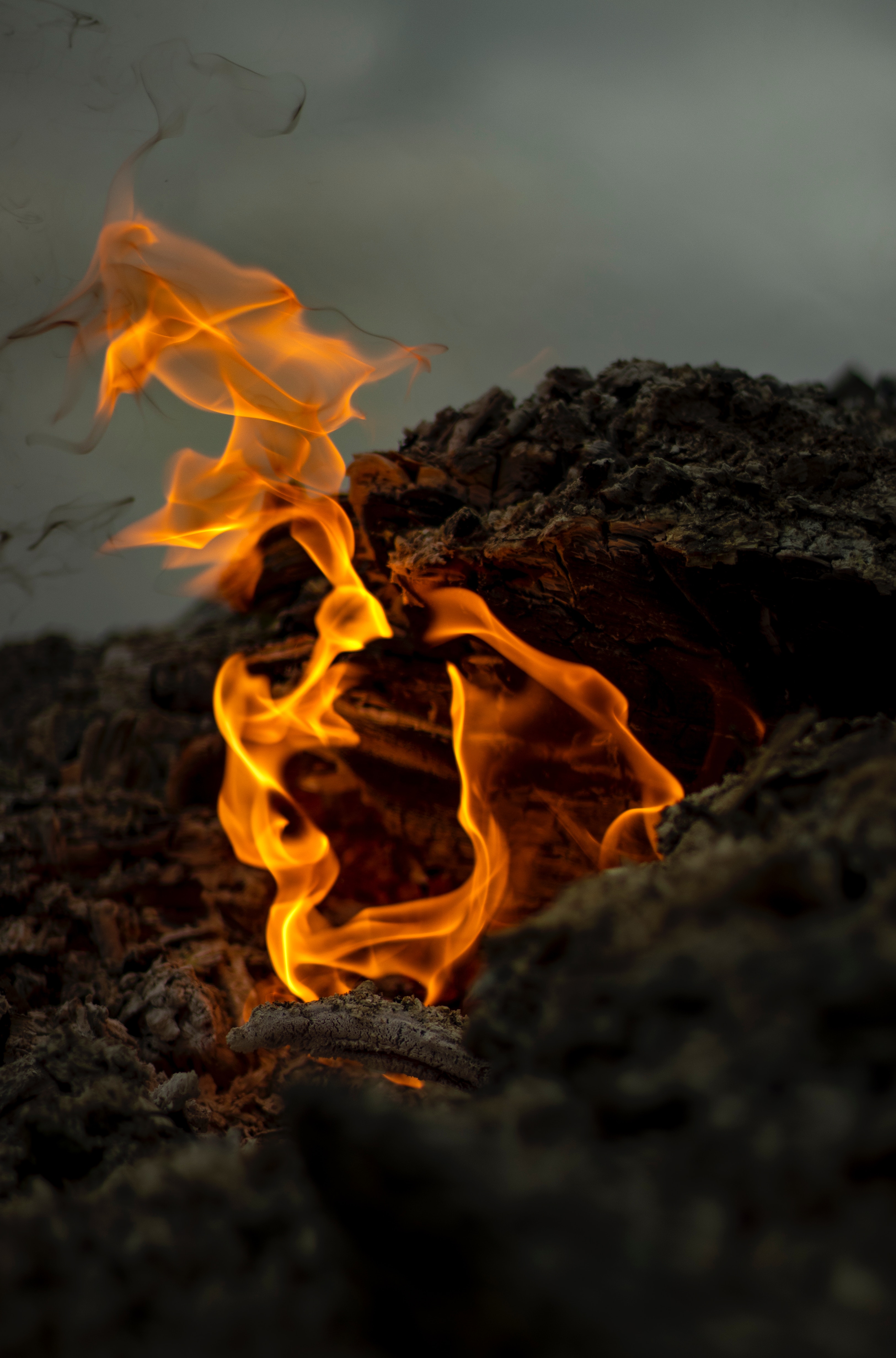 Free download wallpaper Macro, Close Up, Smoke, Fire, Bonfire on your PC desktop