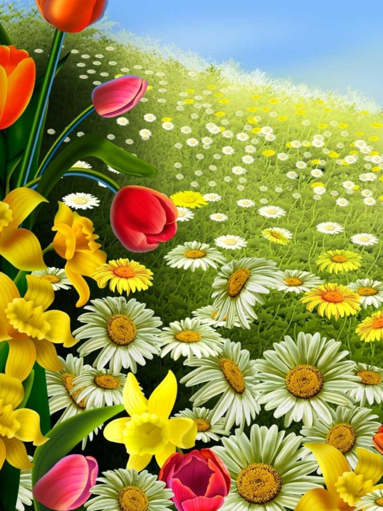 Téléchargez des papiers peints mobile Fleurs, Fleur, Marguerite, Terre/nature gratuitement.