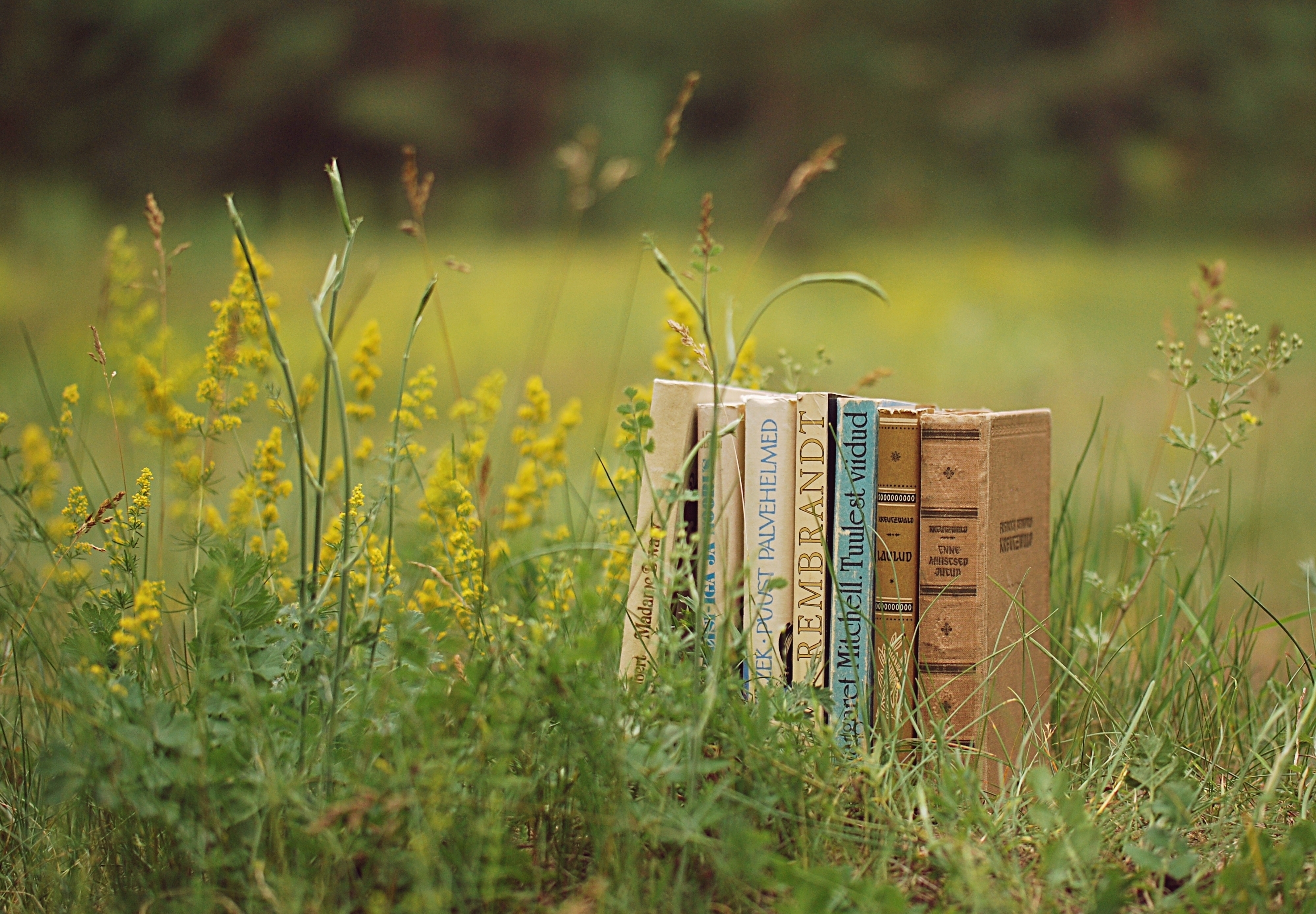 books, stack, miscellanea, pile, grass, miscellaneous, mood